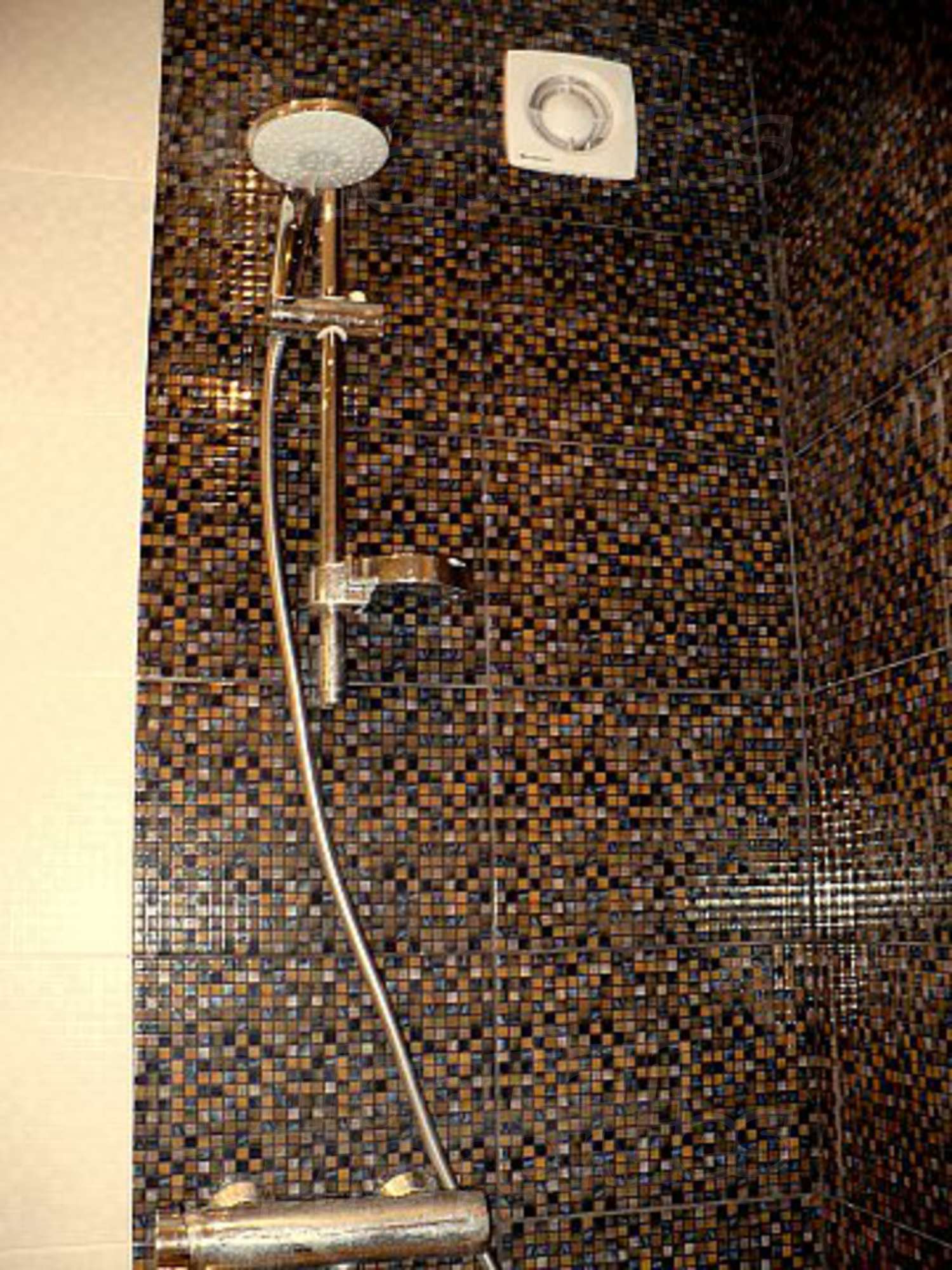 Gallery Picture 28