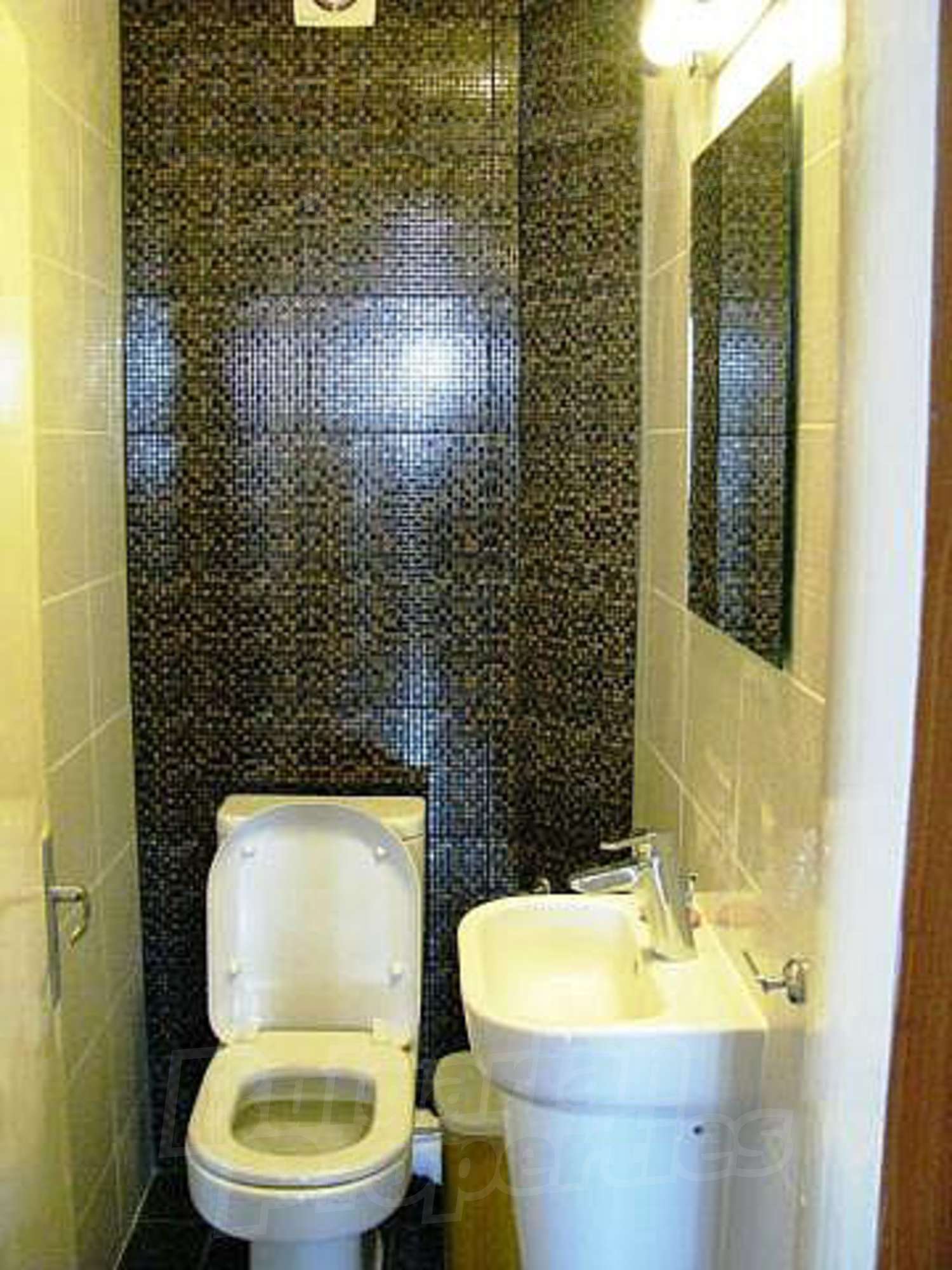 Gallery Picture 29