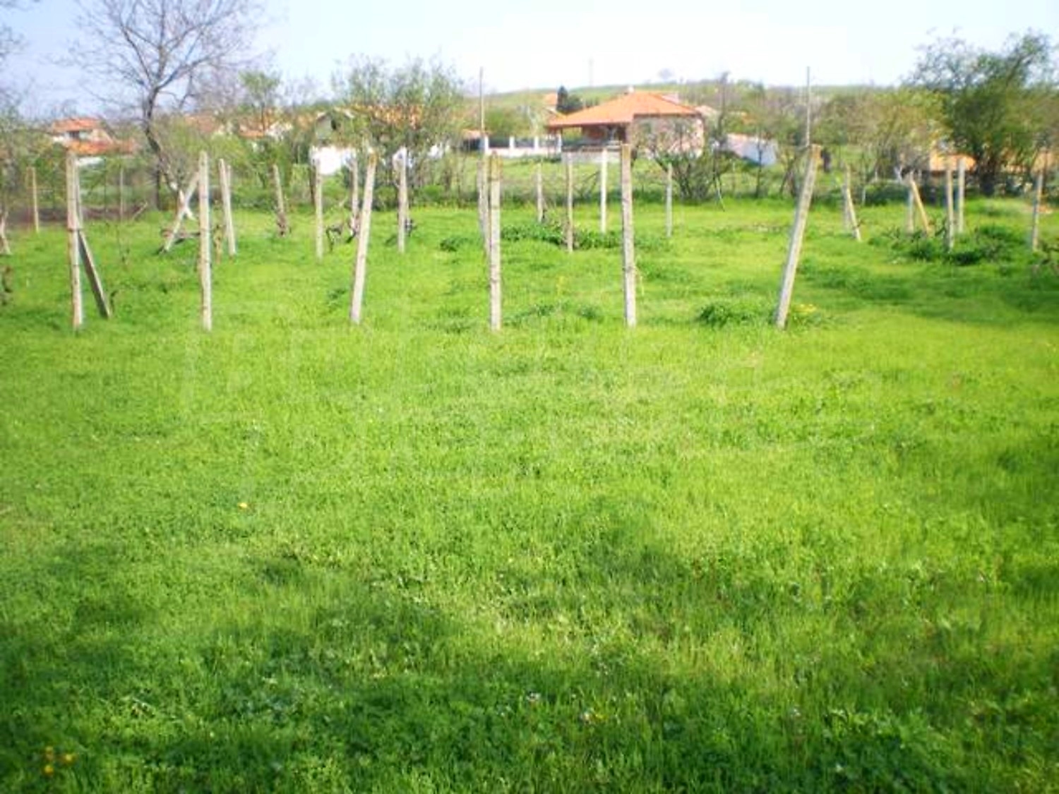 Gallery Picture 11