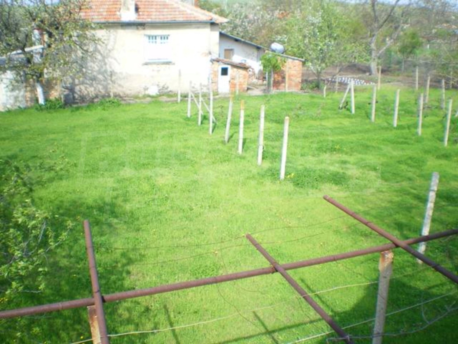 Gallery Picture 13