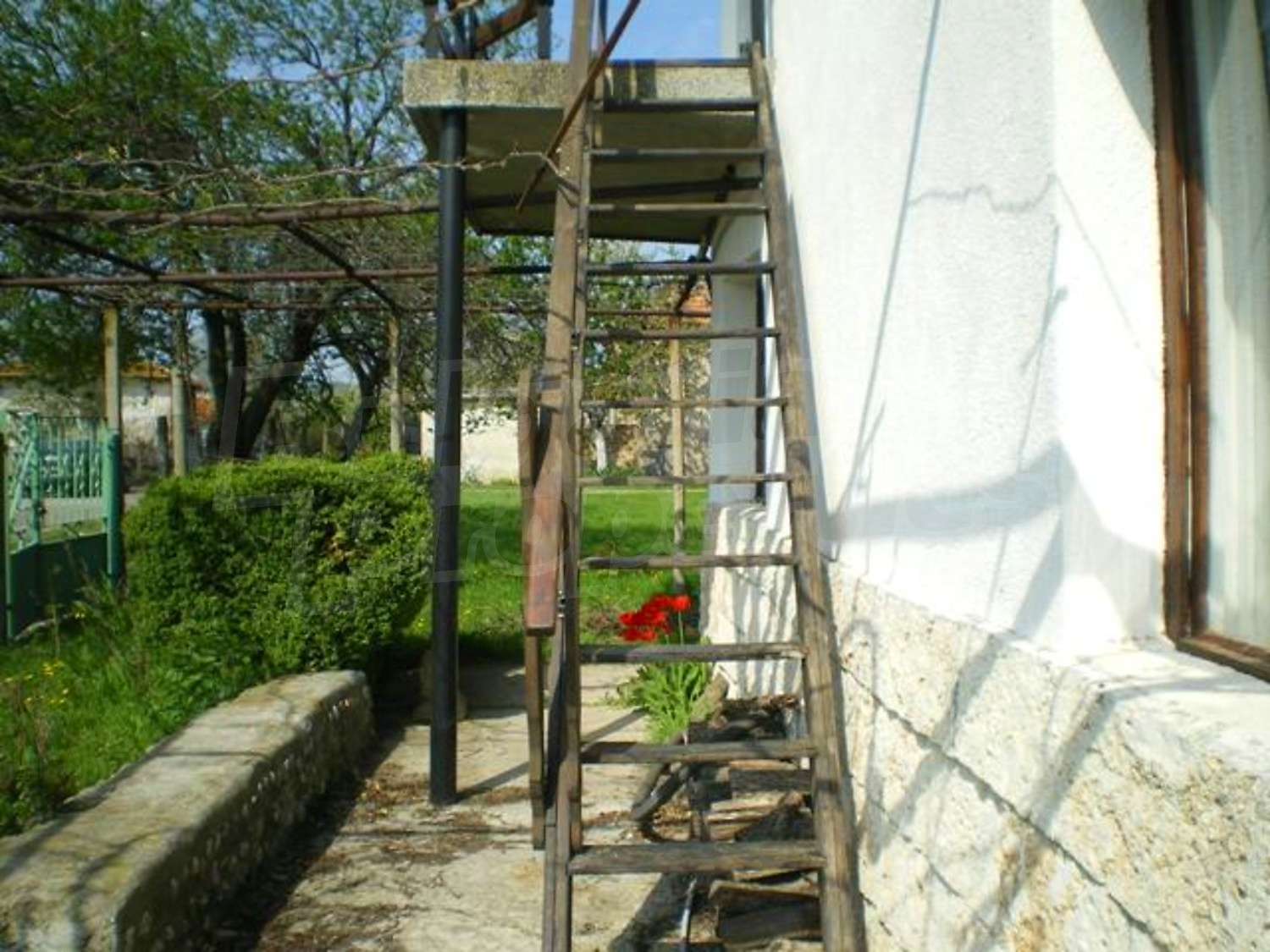 Gallery Picture 4