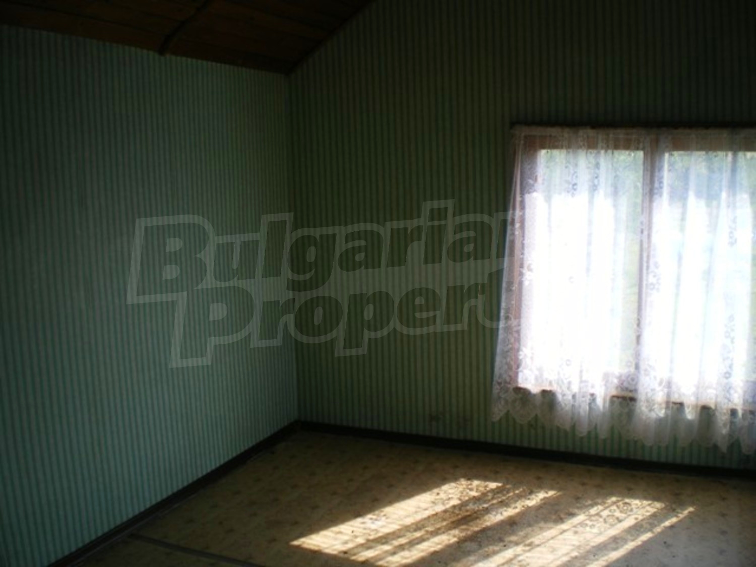 Gallery Picture 6