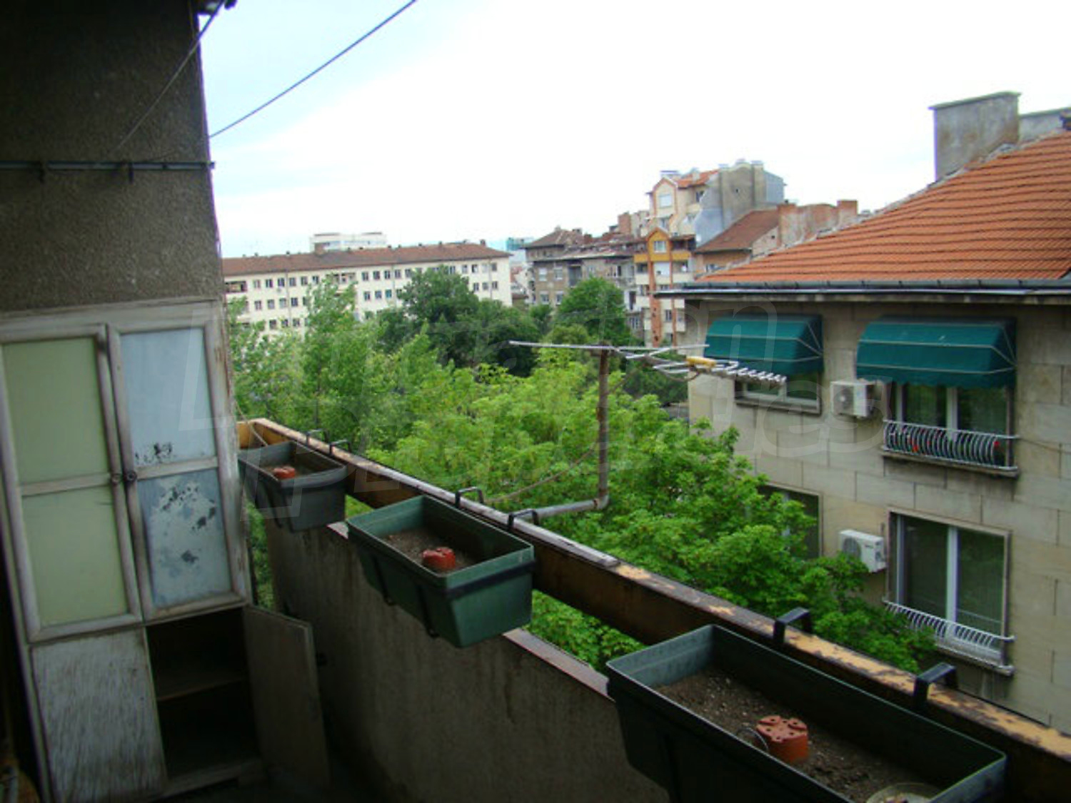 Gallery Picture 12