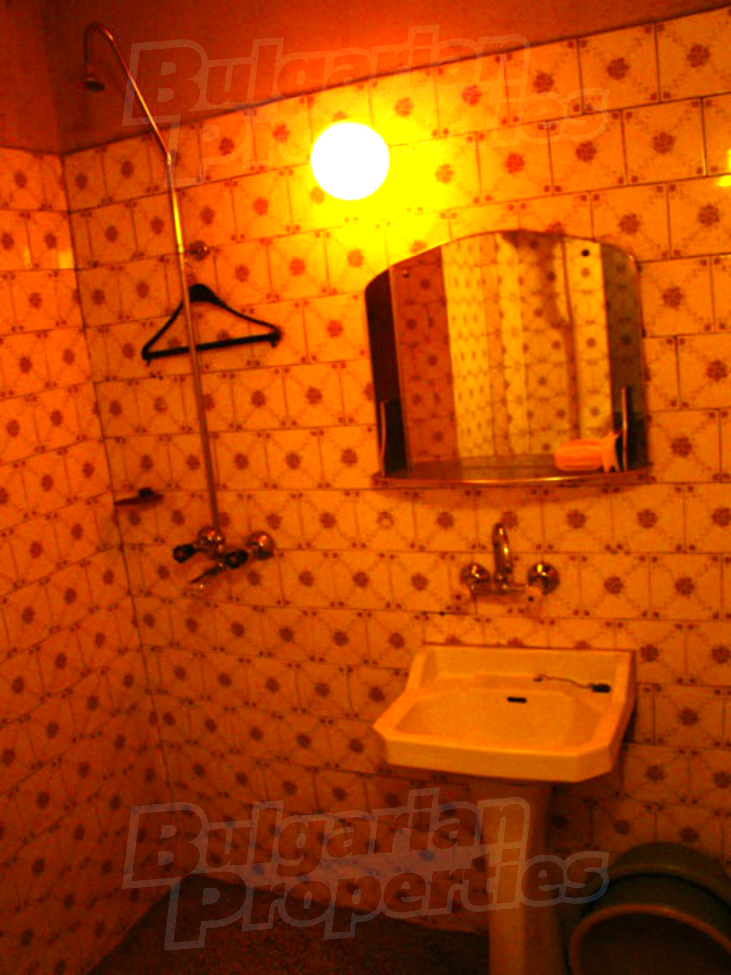 Gallery Picture 26
