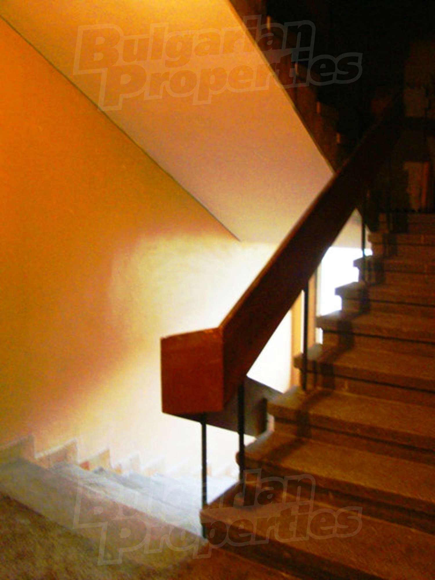 Gallery Picture 29
