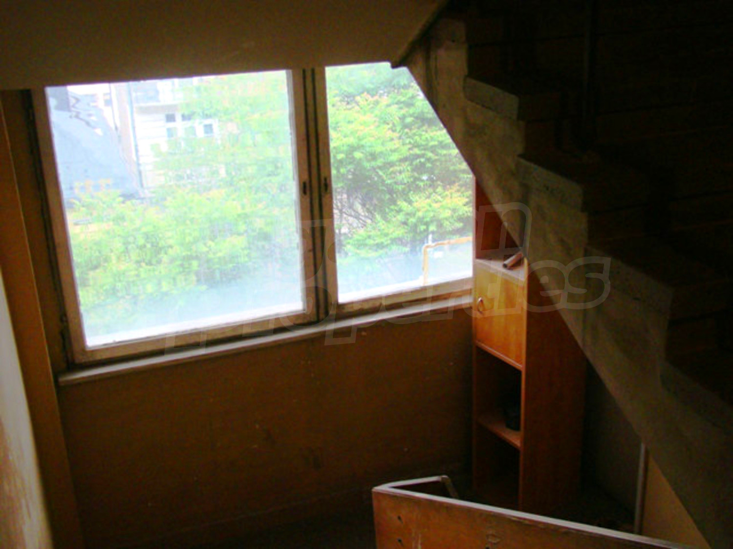 Gallery Picture 33
