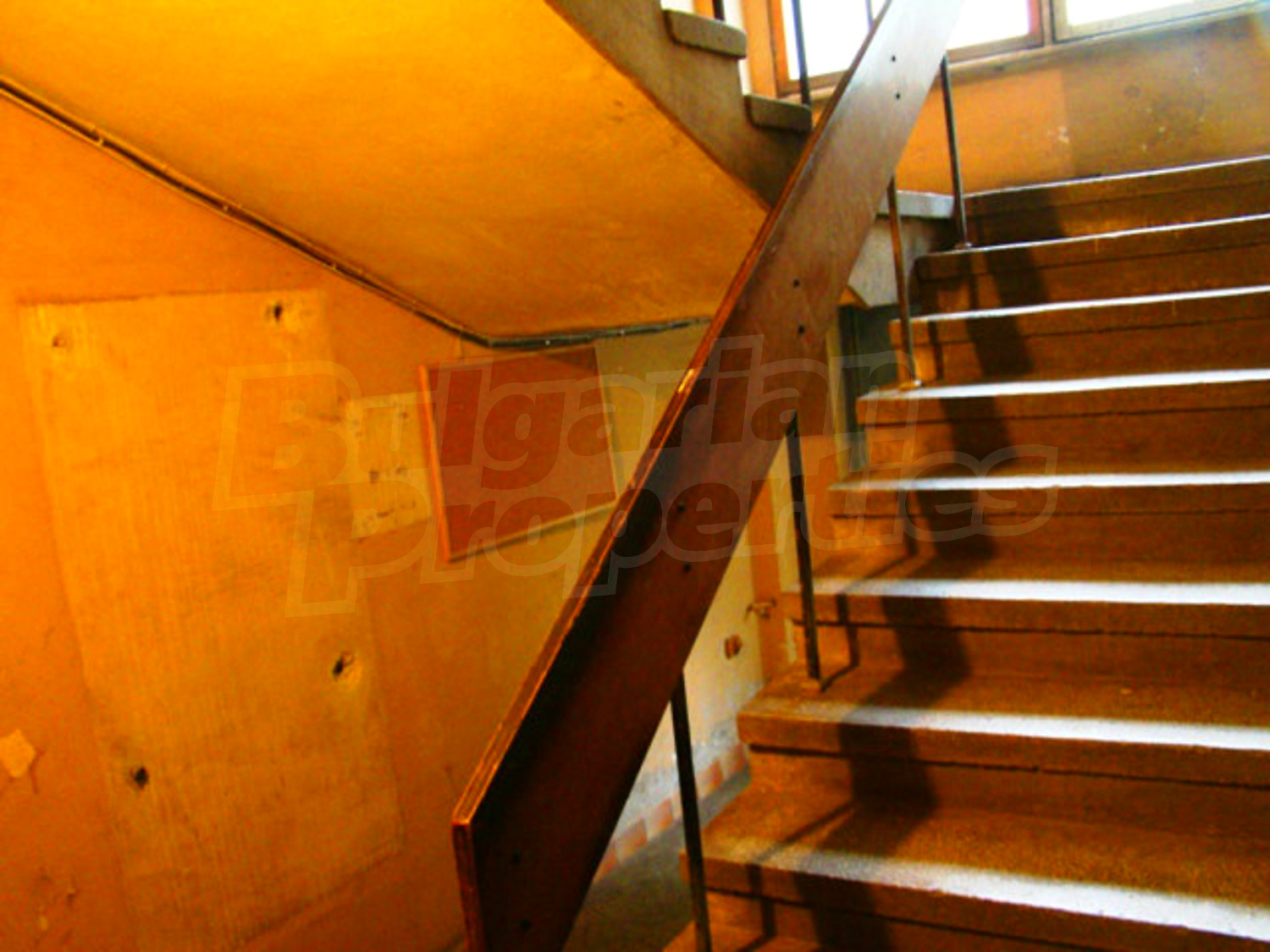 Gallery Picture 34