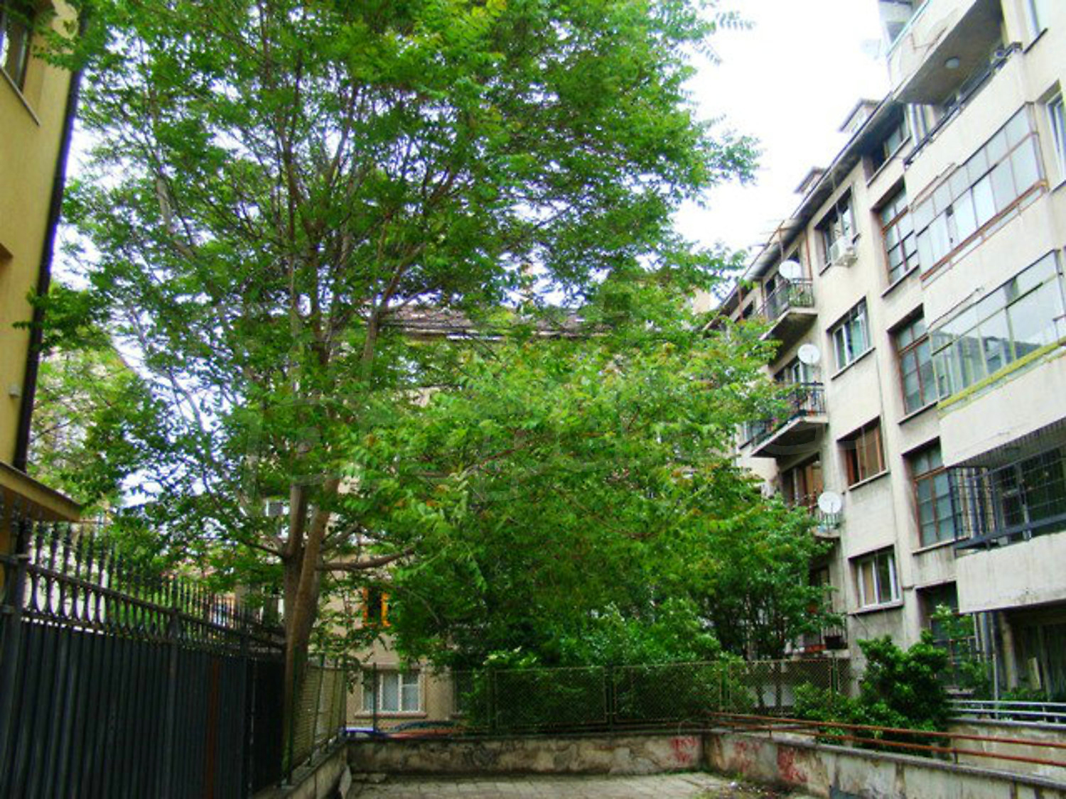 Gallery Picture 37