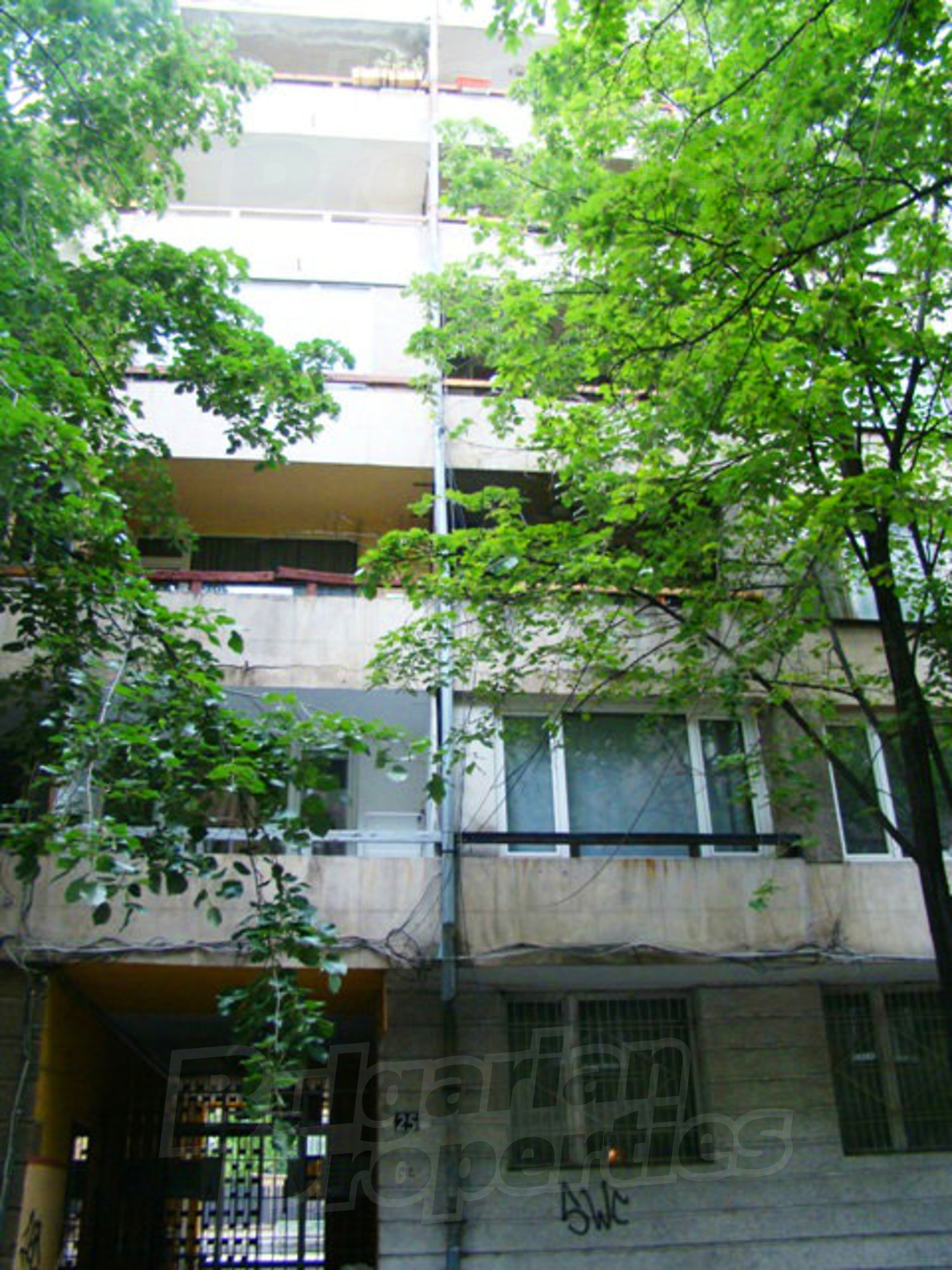 Gallery Picture 40