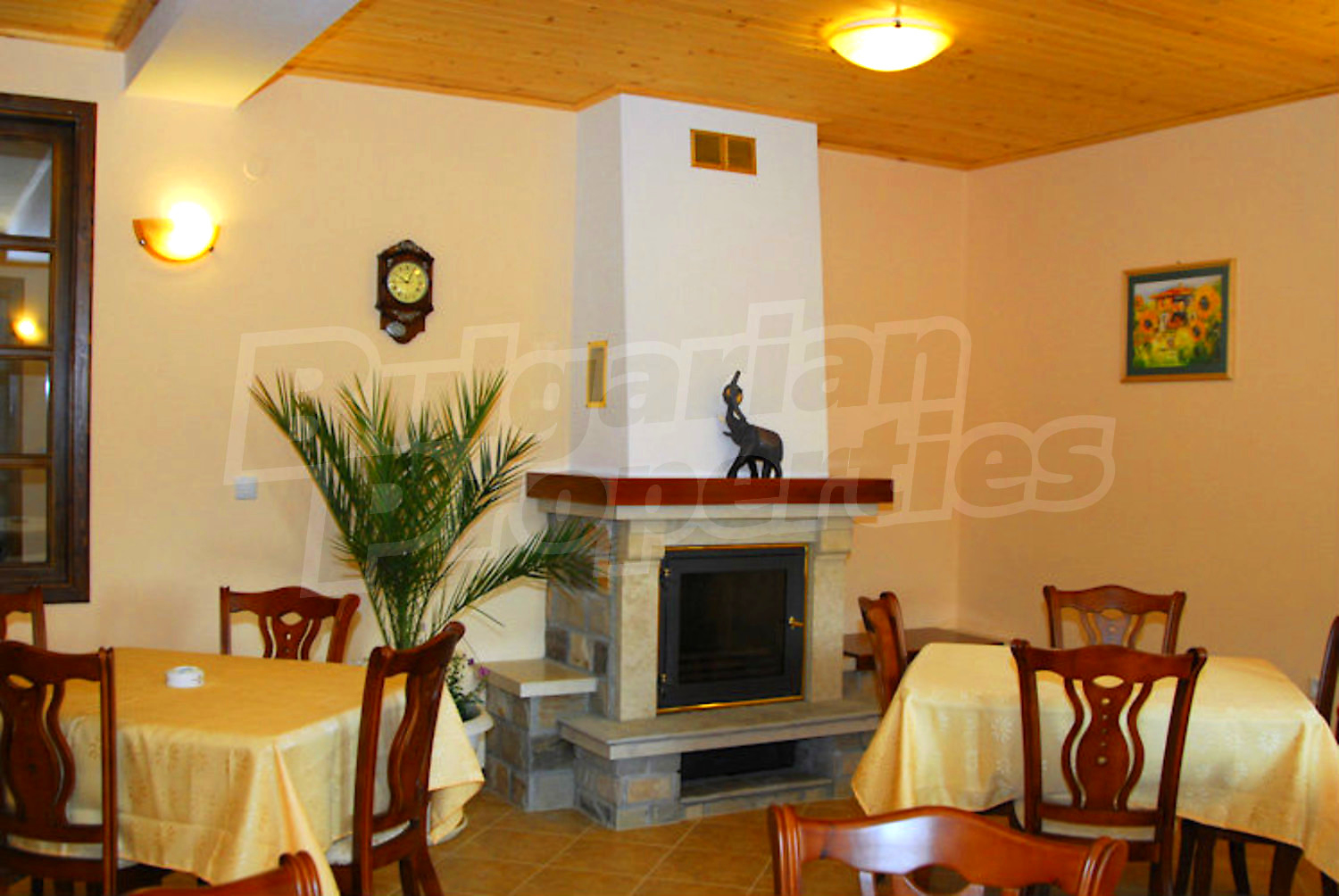 Gallery Picture 25