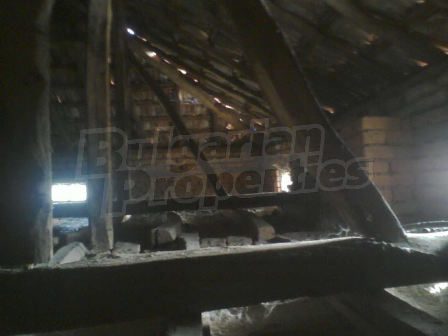 Gallery Picture 12