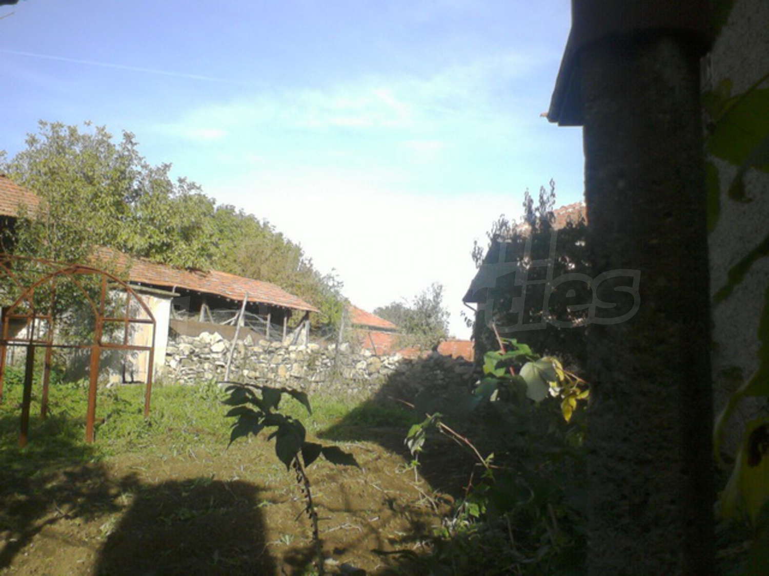 Gallery Picture 16