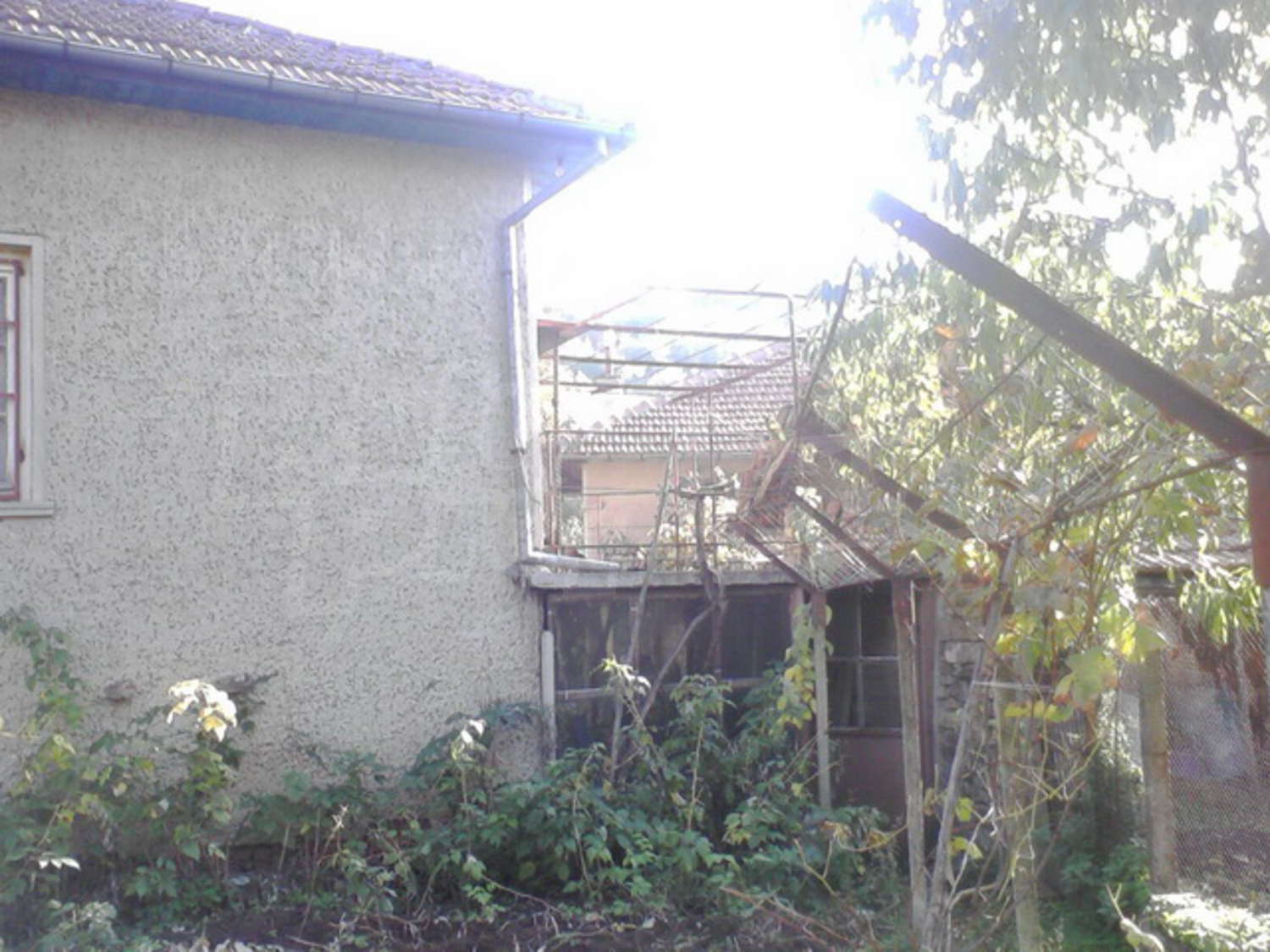 Gallery Picture 17