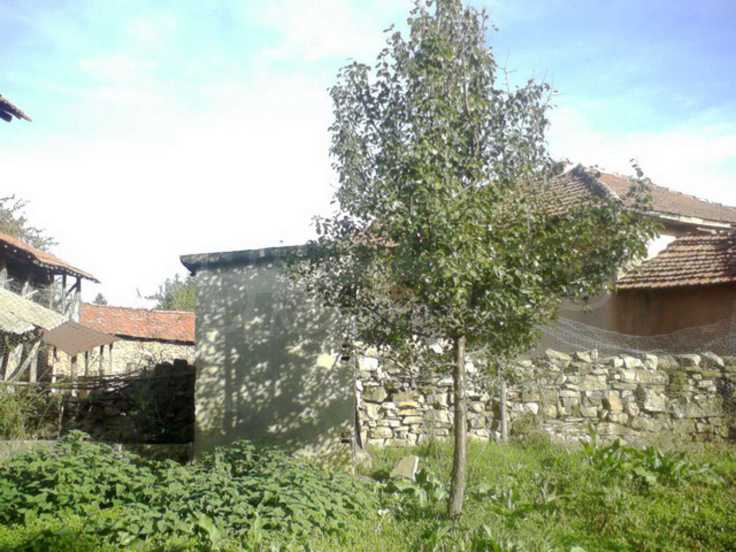 Gallery Picture 19