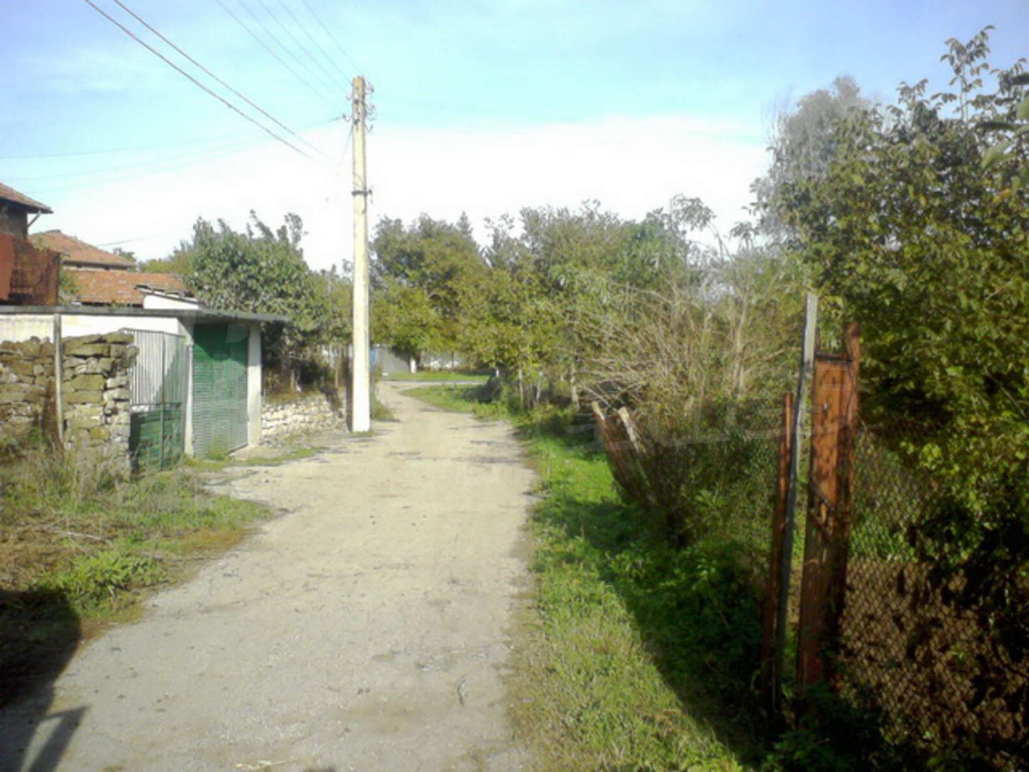 Gallery Picture 23