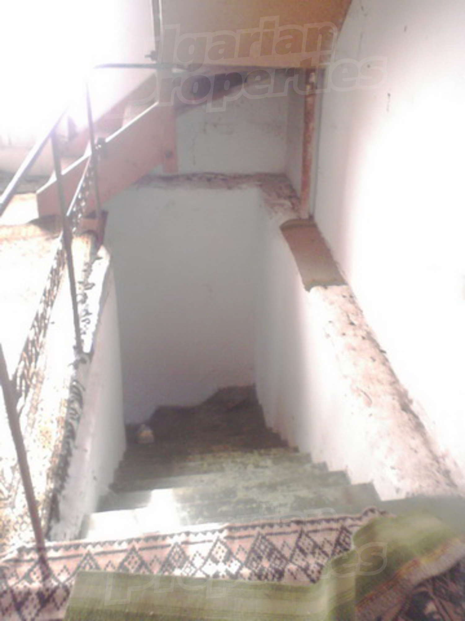 Gallery Picture 7
