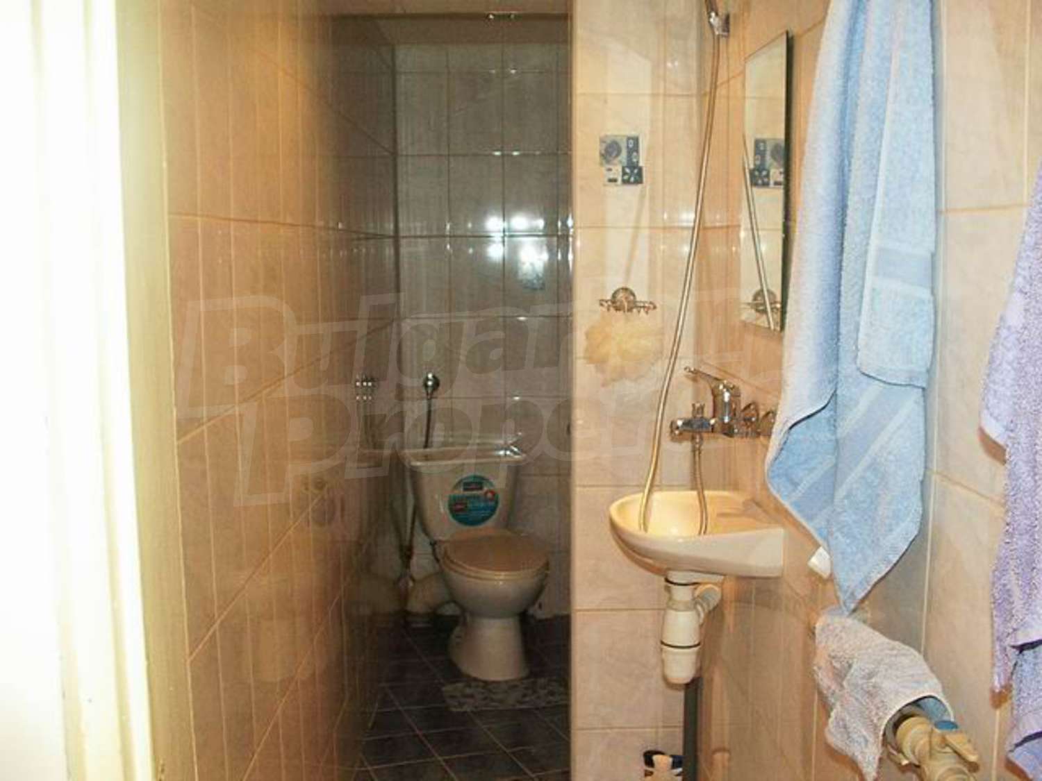Gallery Picture 7