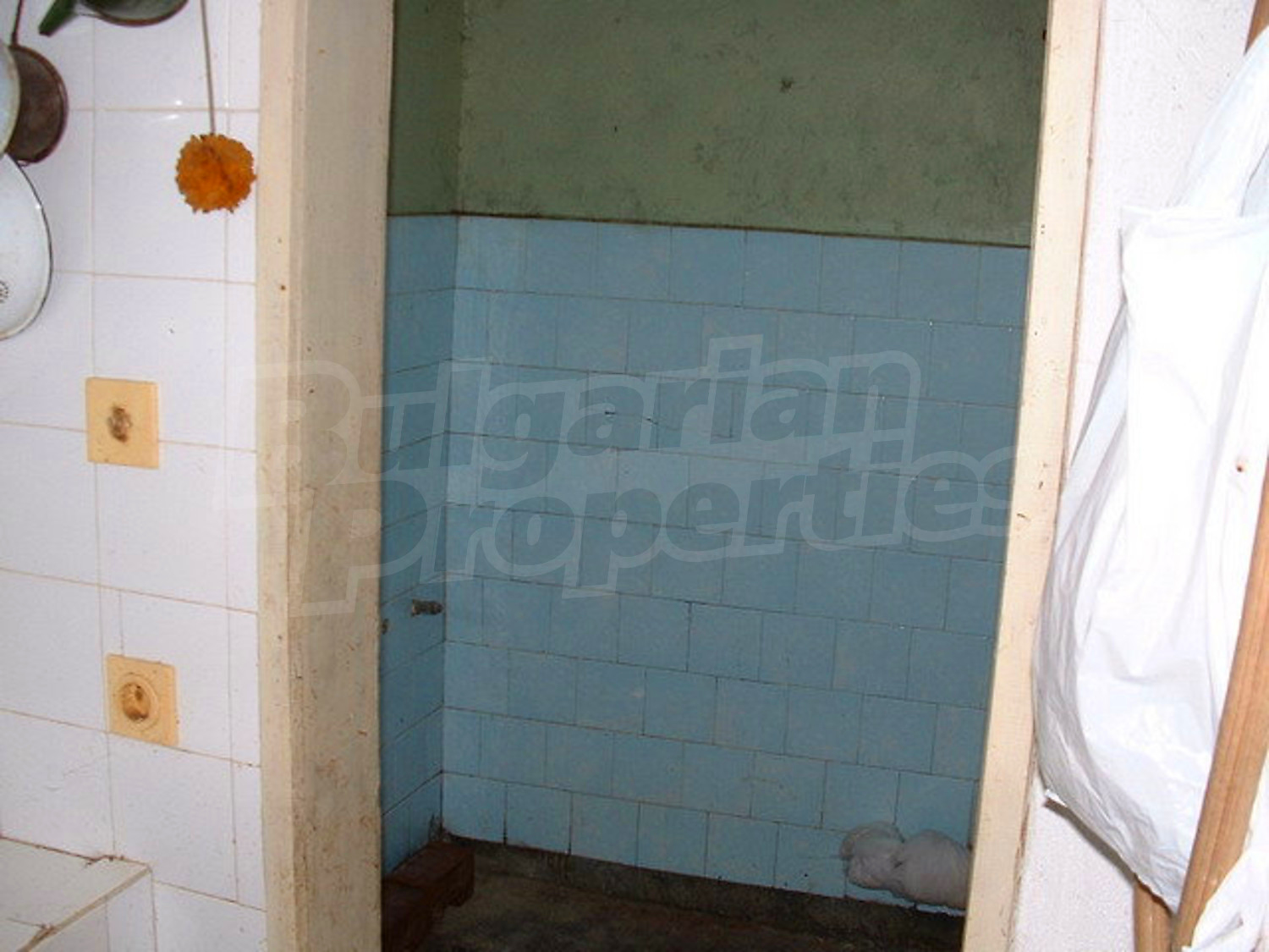 Gallery Picture 19