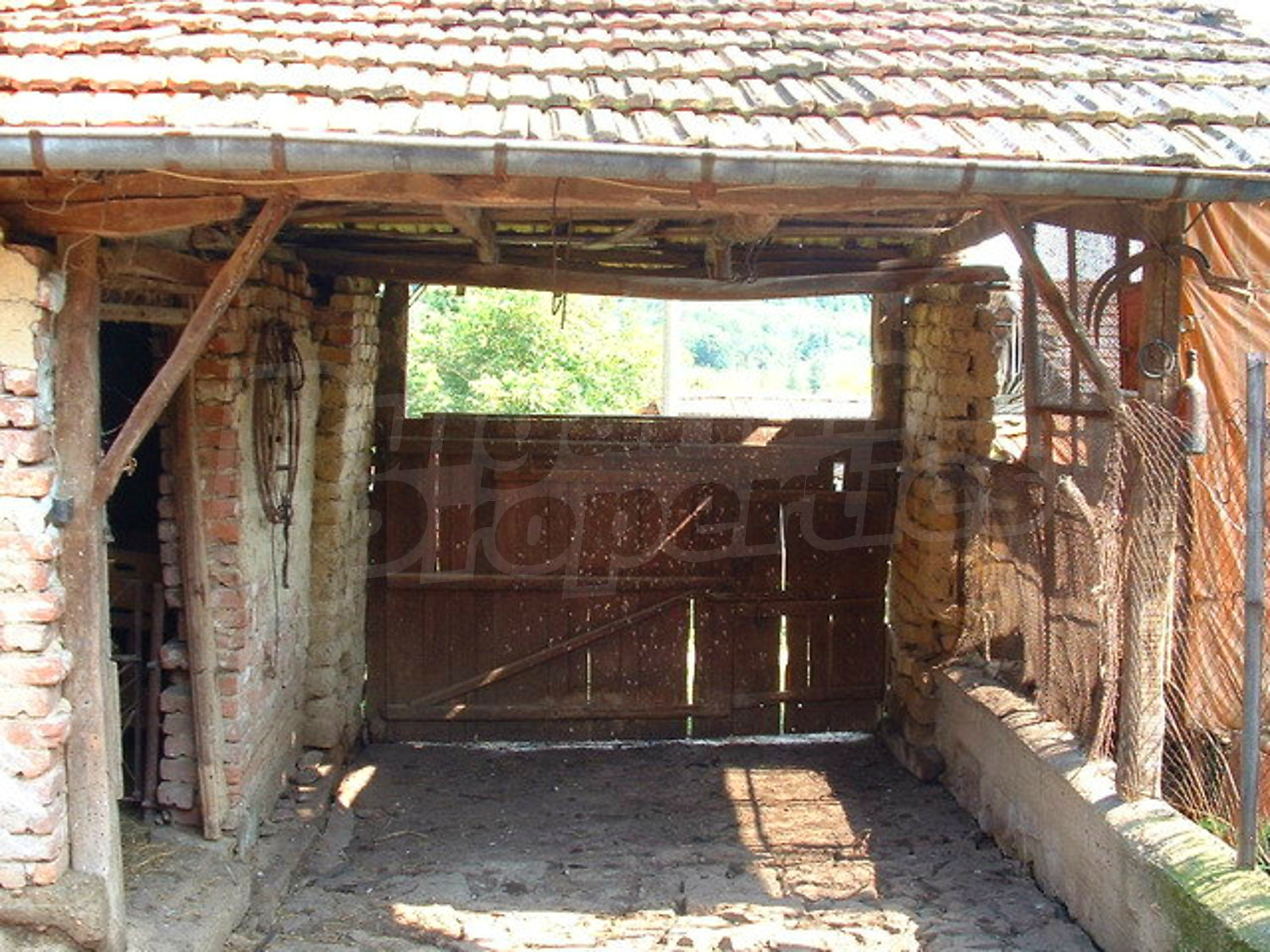 Gallery Picture 22