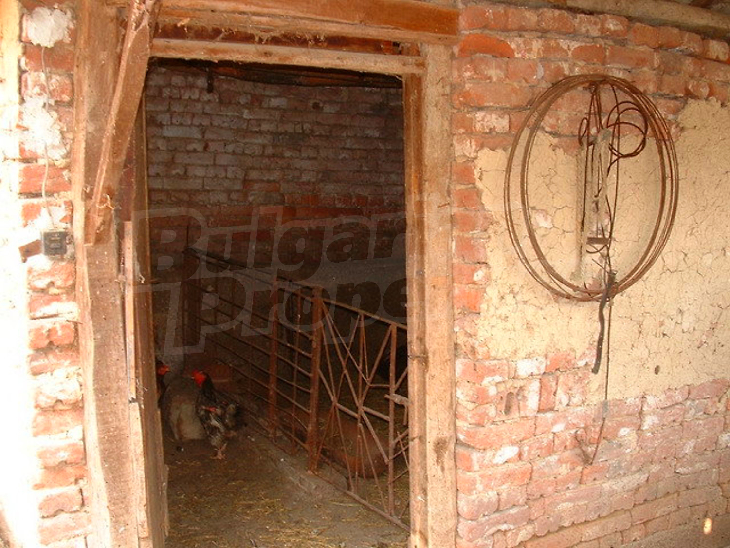 Gallery Picture 23