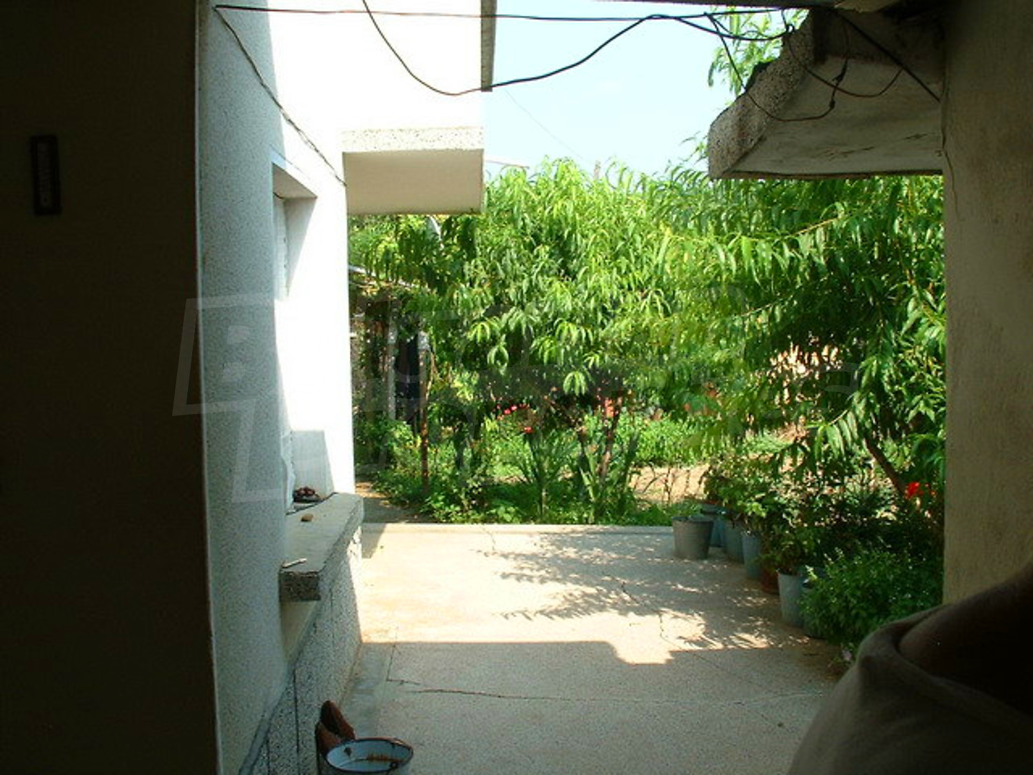 Gallery Picture 25