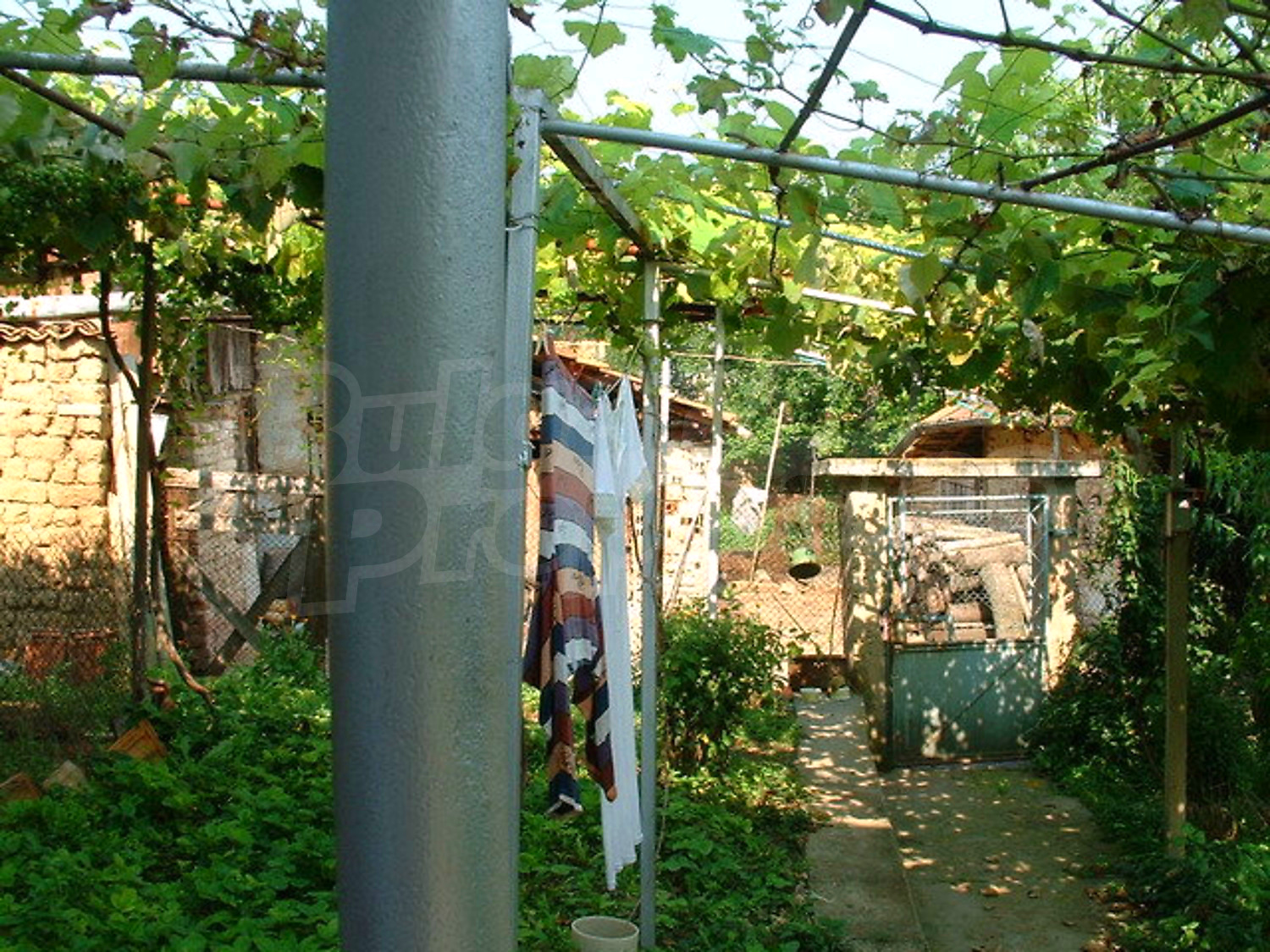 Gallery Picture 26