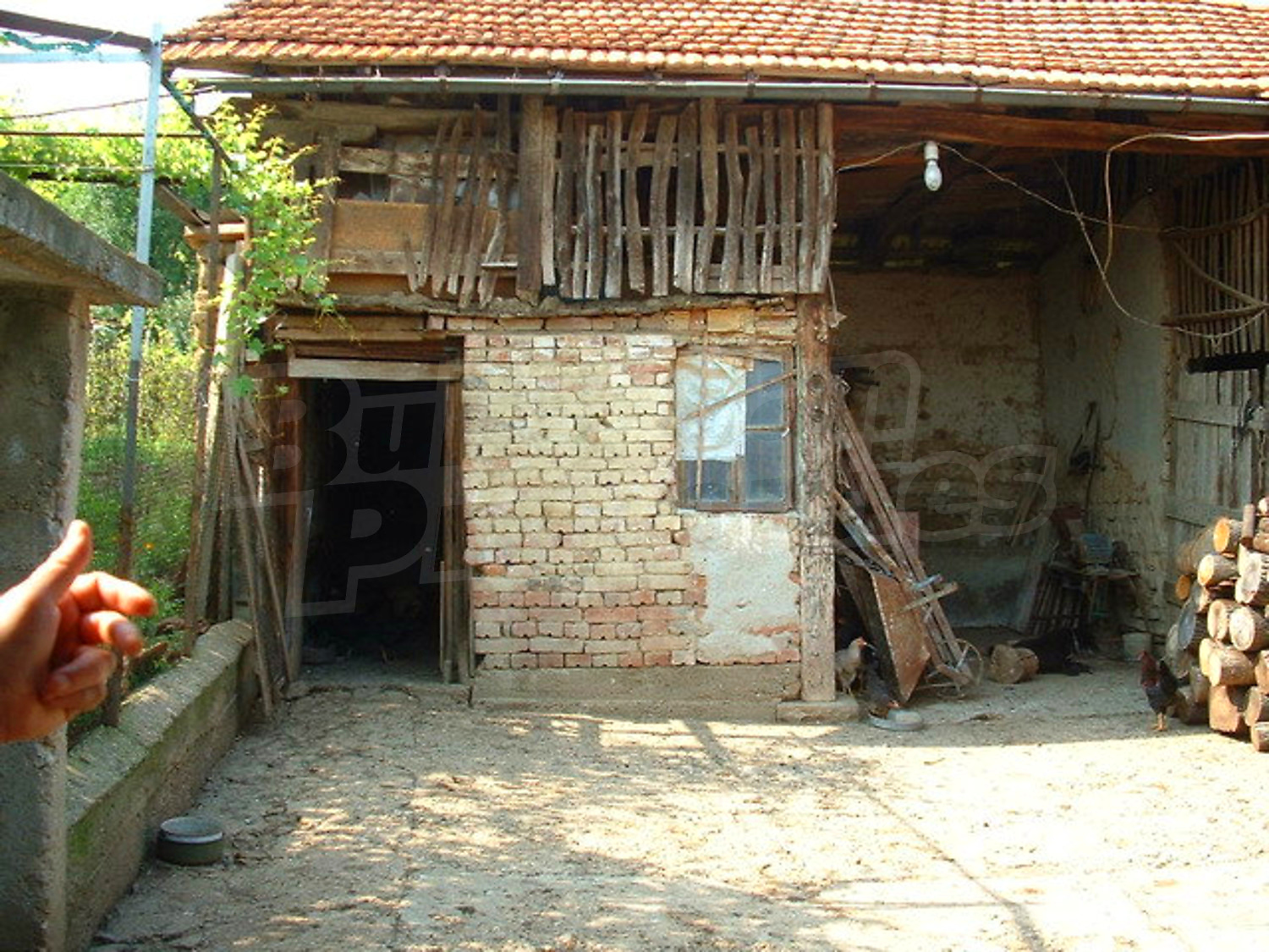 Gallery Picture 29