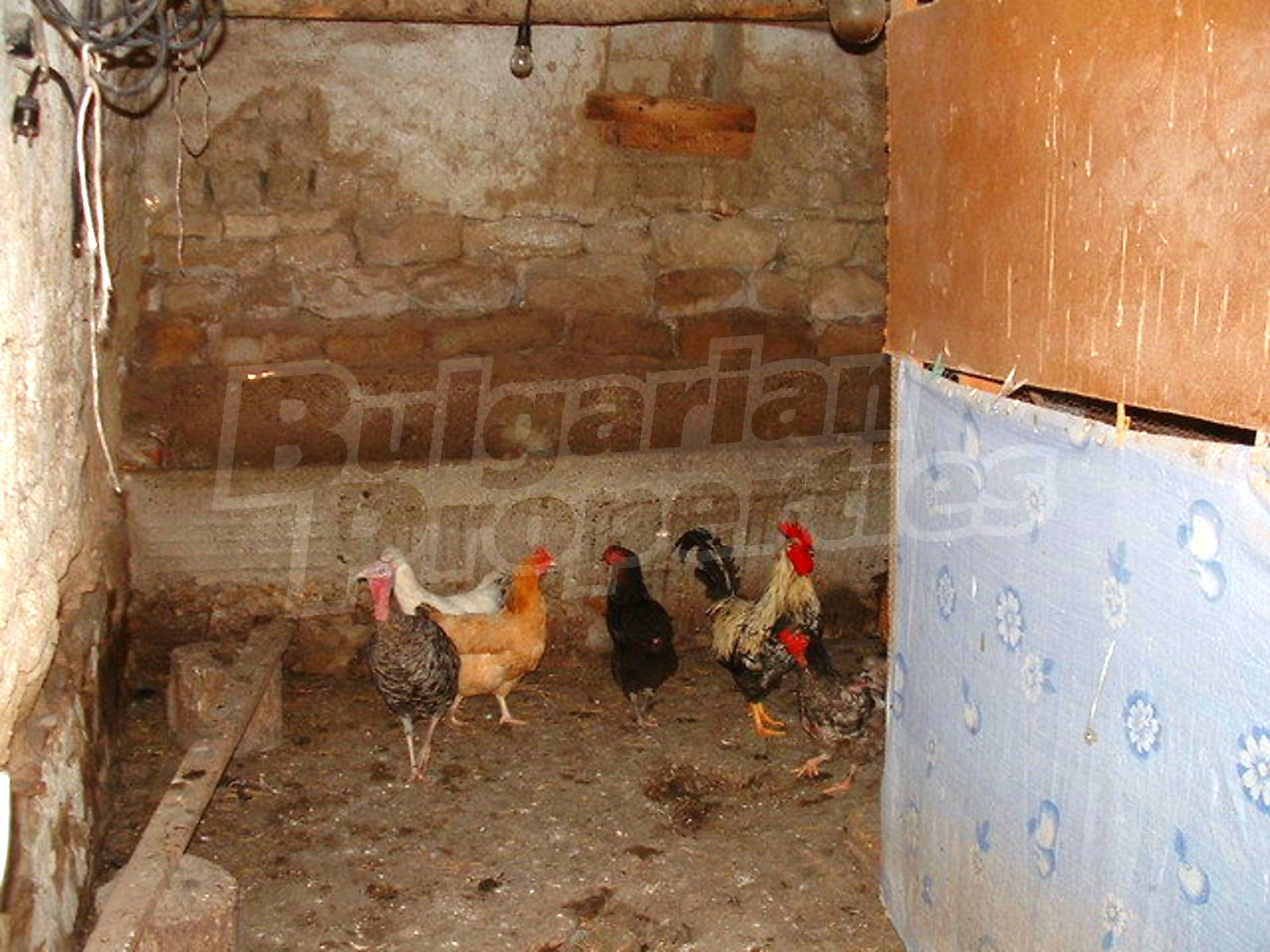 Gallery Picture 32