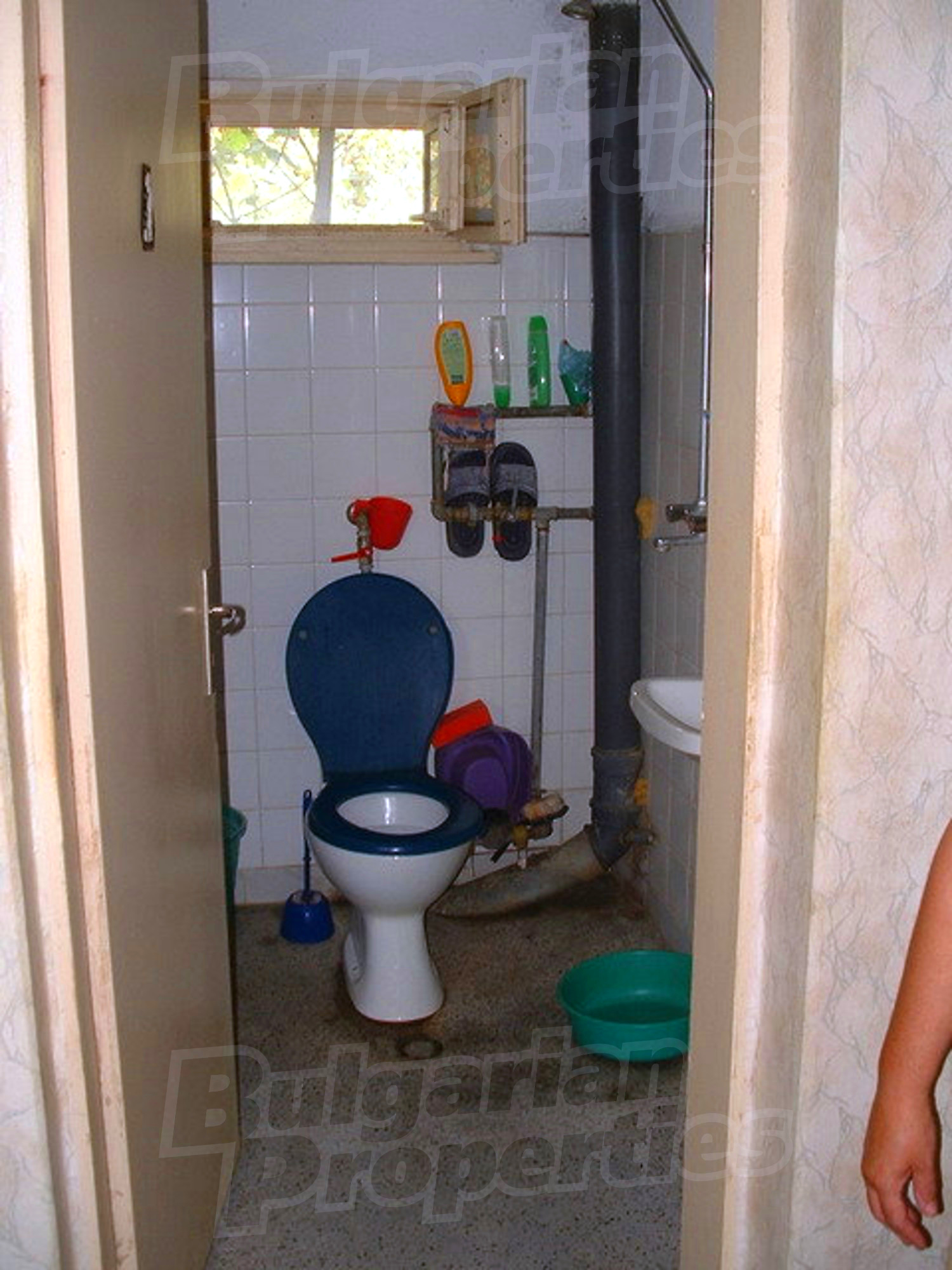 Gallery Picture 43