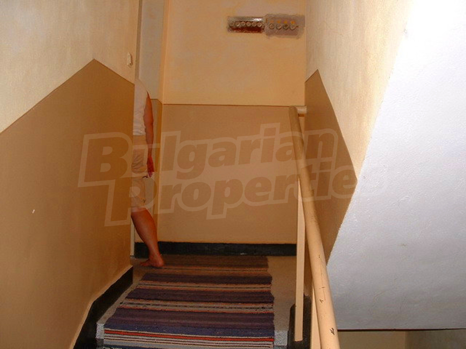 Gallery Picture 44