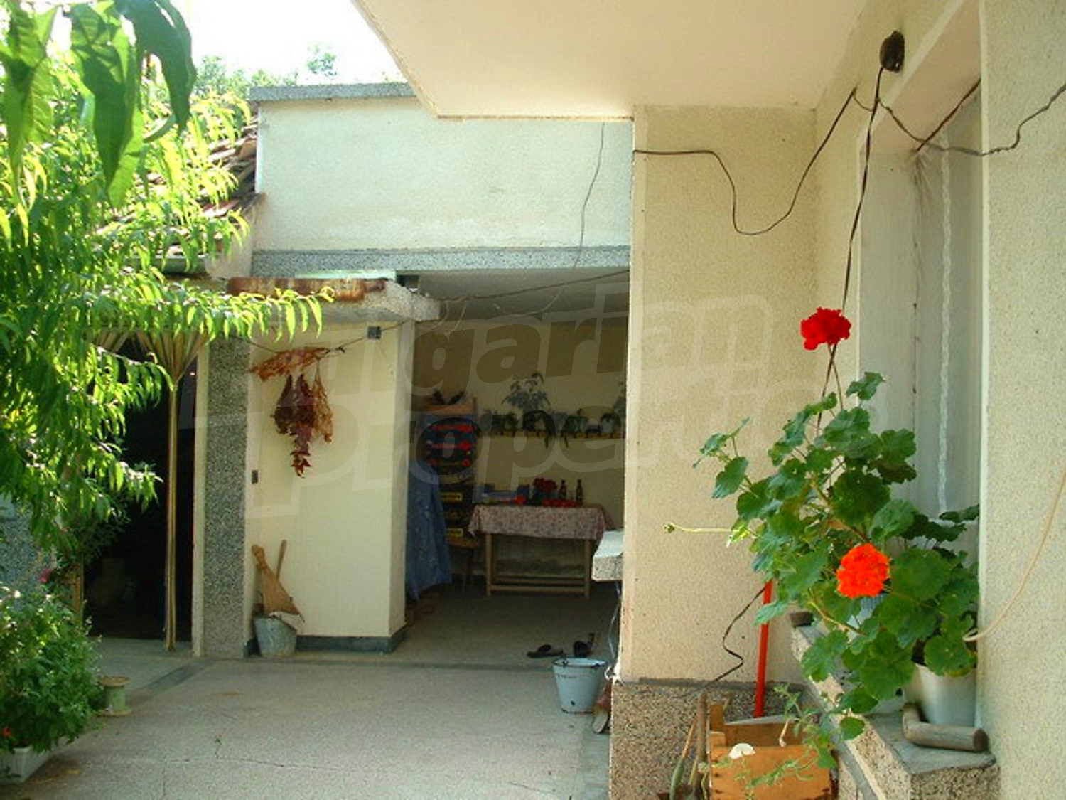 Gallery Picture 48