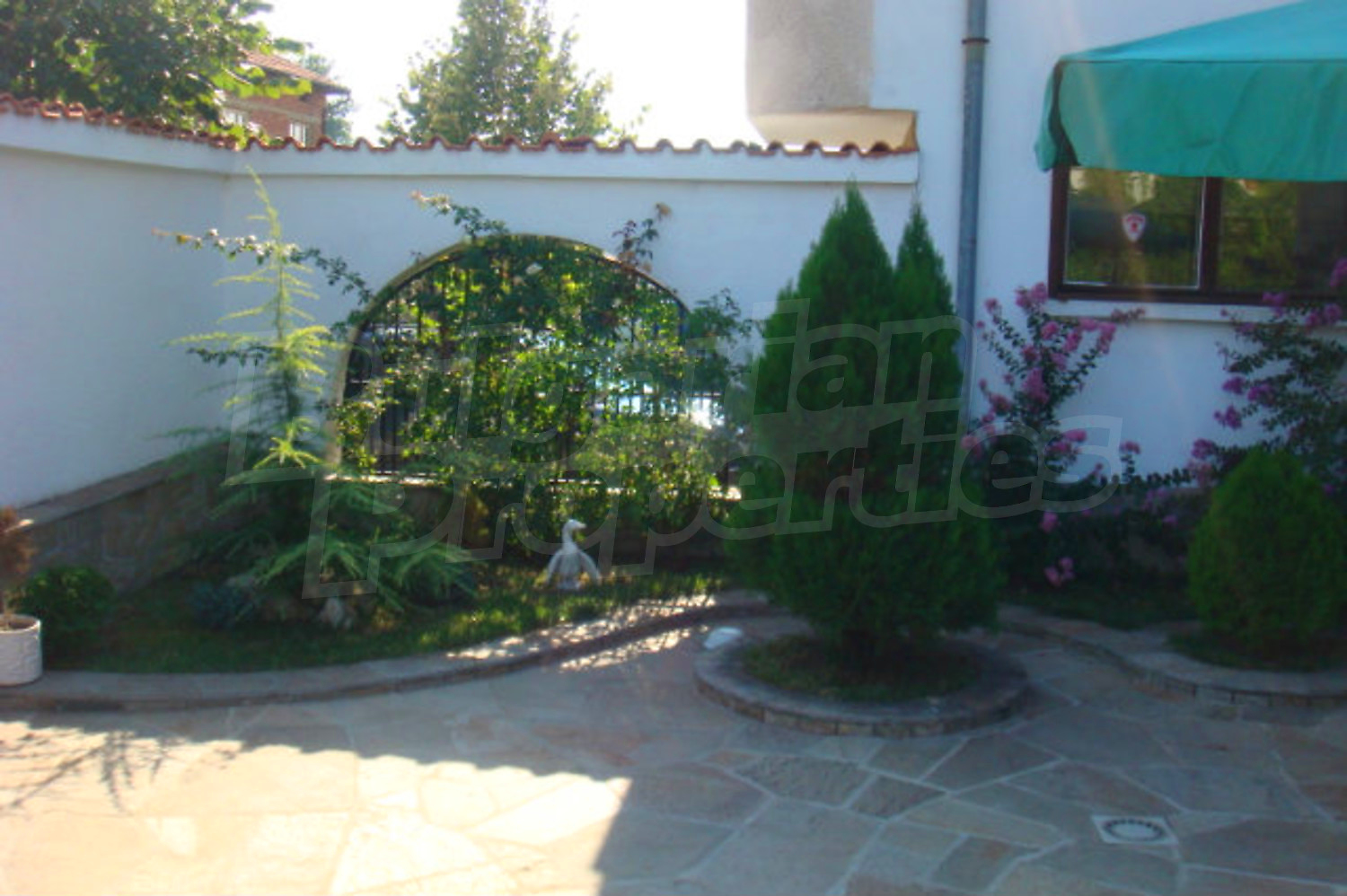 Gallery Picture 20