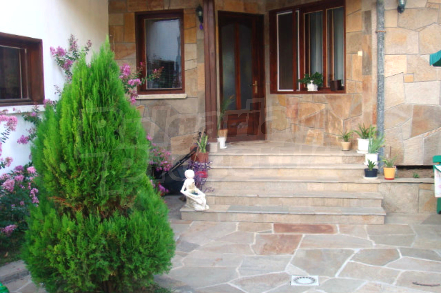 Gallery Picture 23