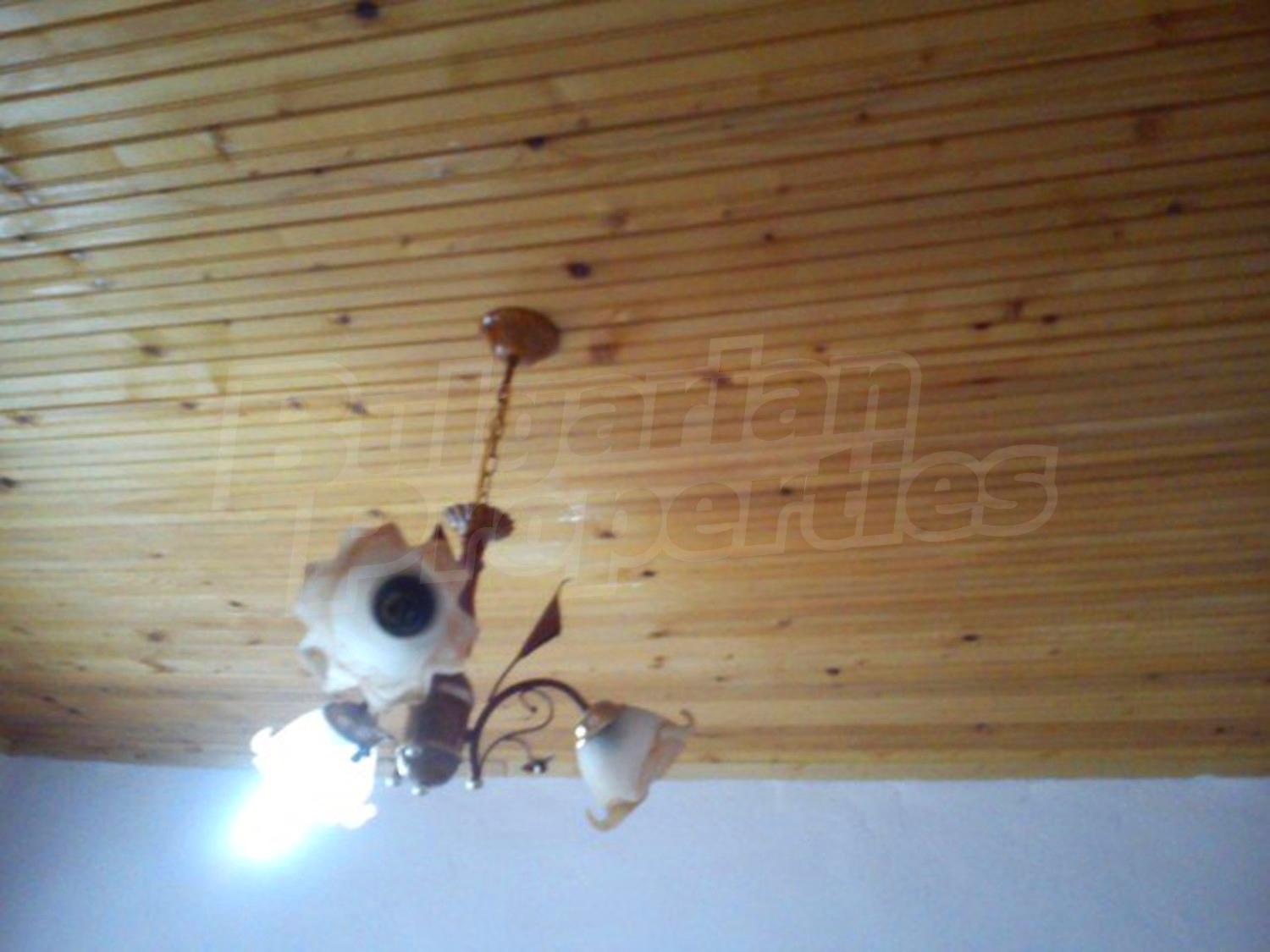 Gallery Picture 14