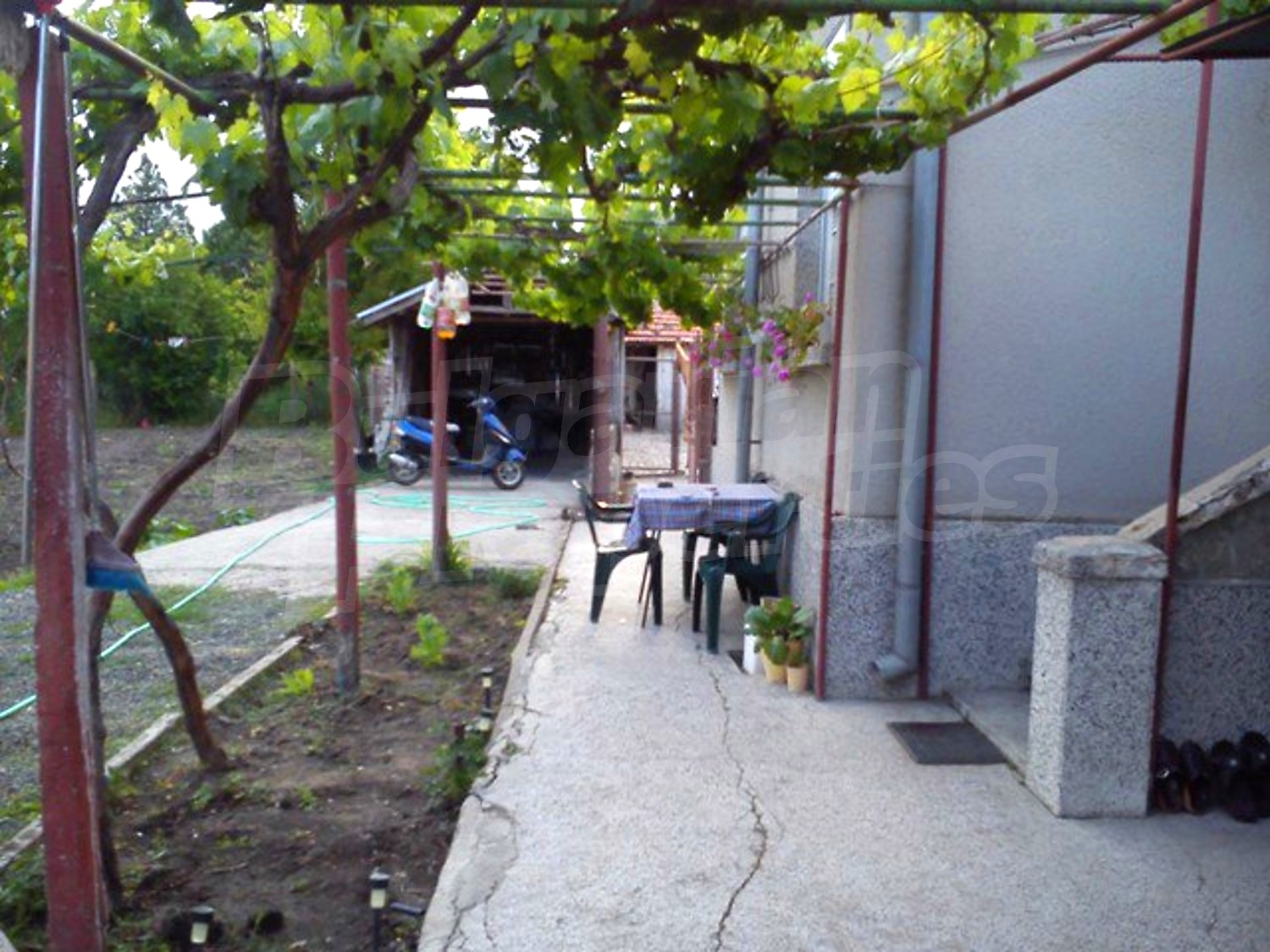 Gallery Picture 19