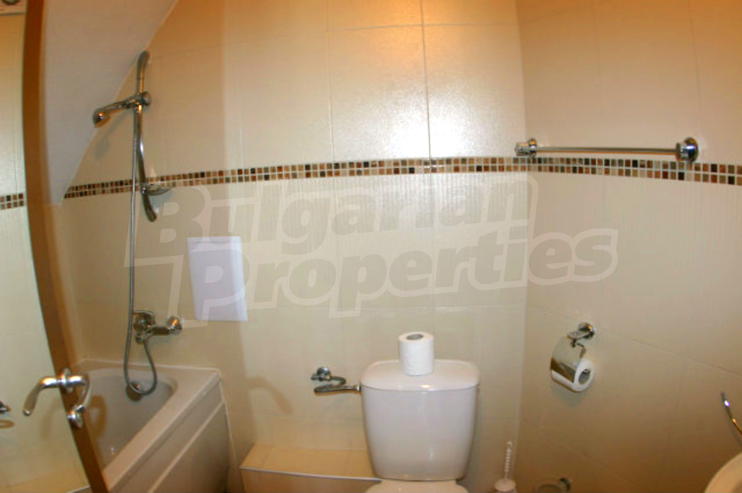 Gallery Picture 19