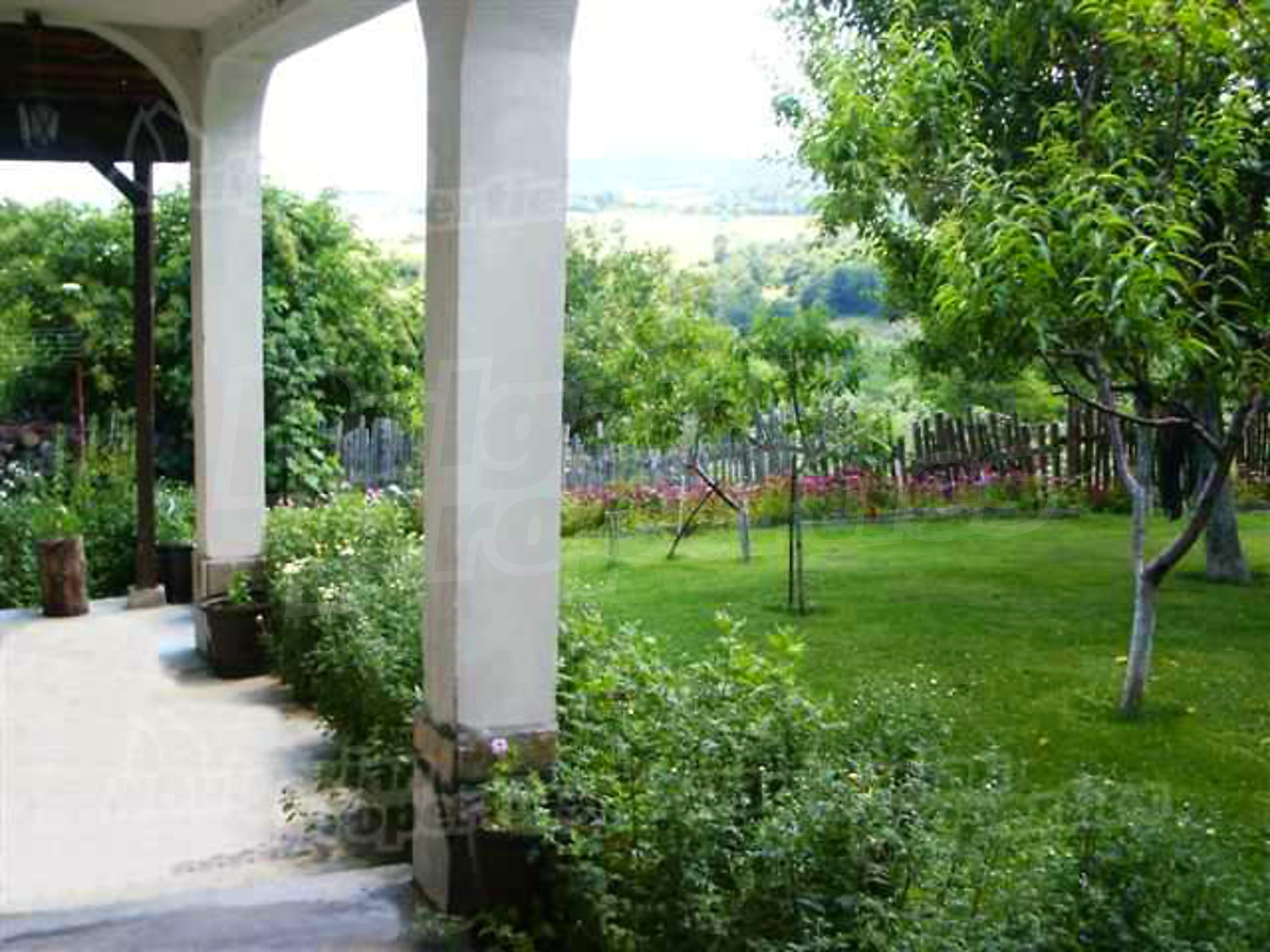 Gallery Picture 15
