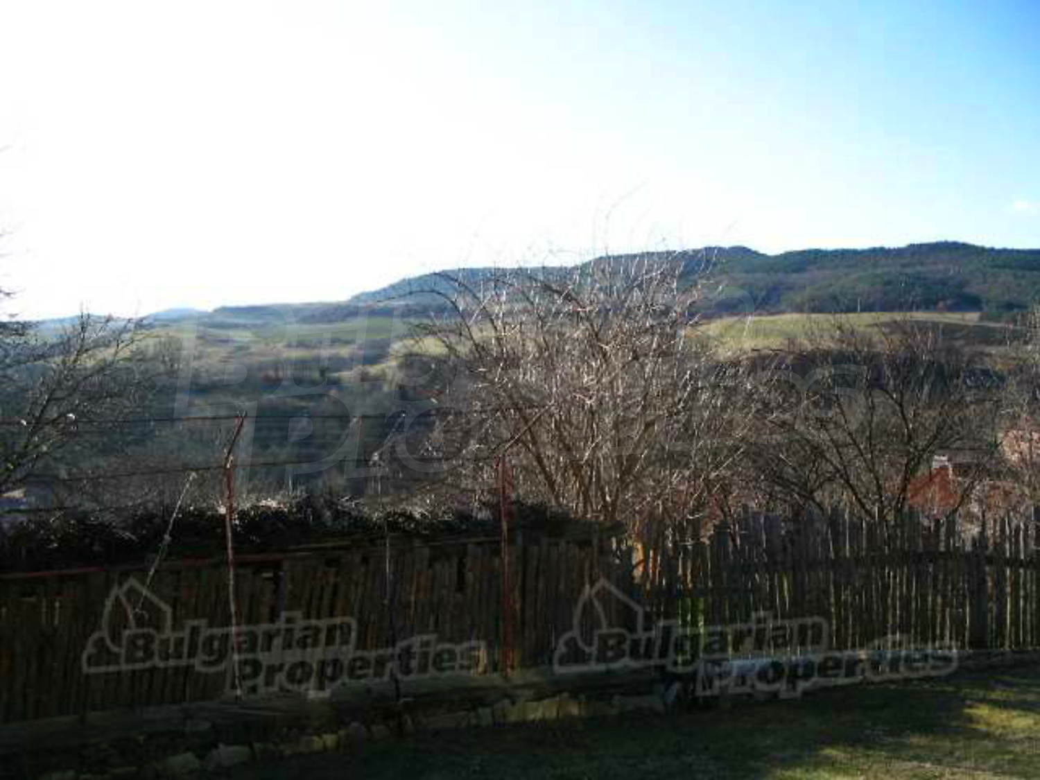 Gallery Picture 20