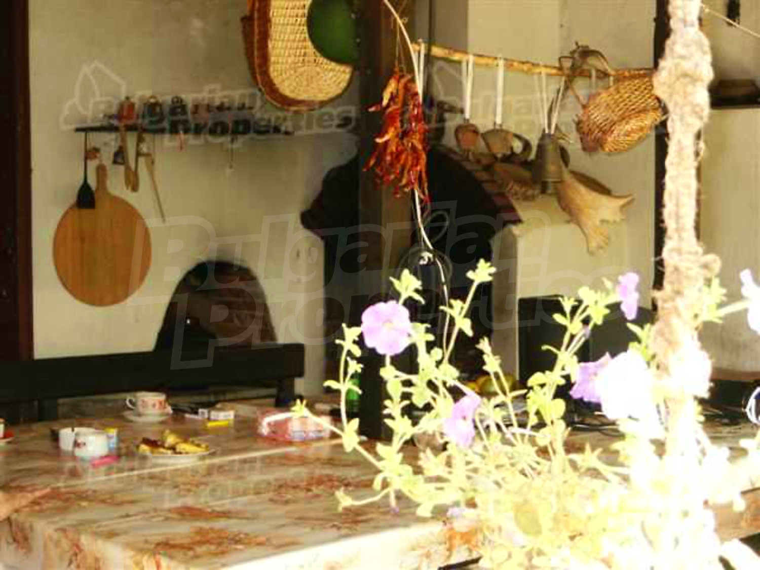 Gallery Picture 7
