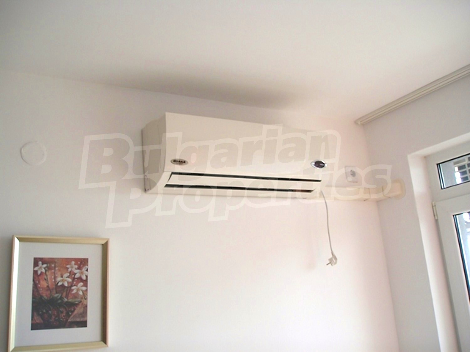 Gallery Picture 10