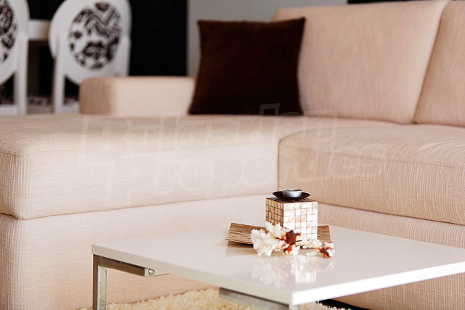 Gallery Picture 7