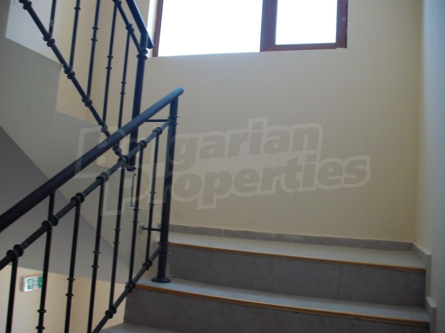 Gallery Picture 10