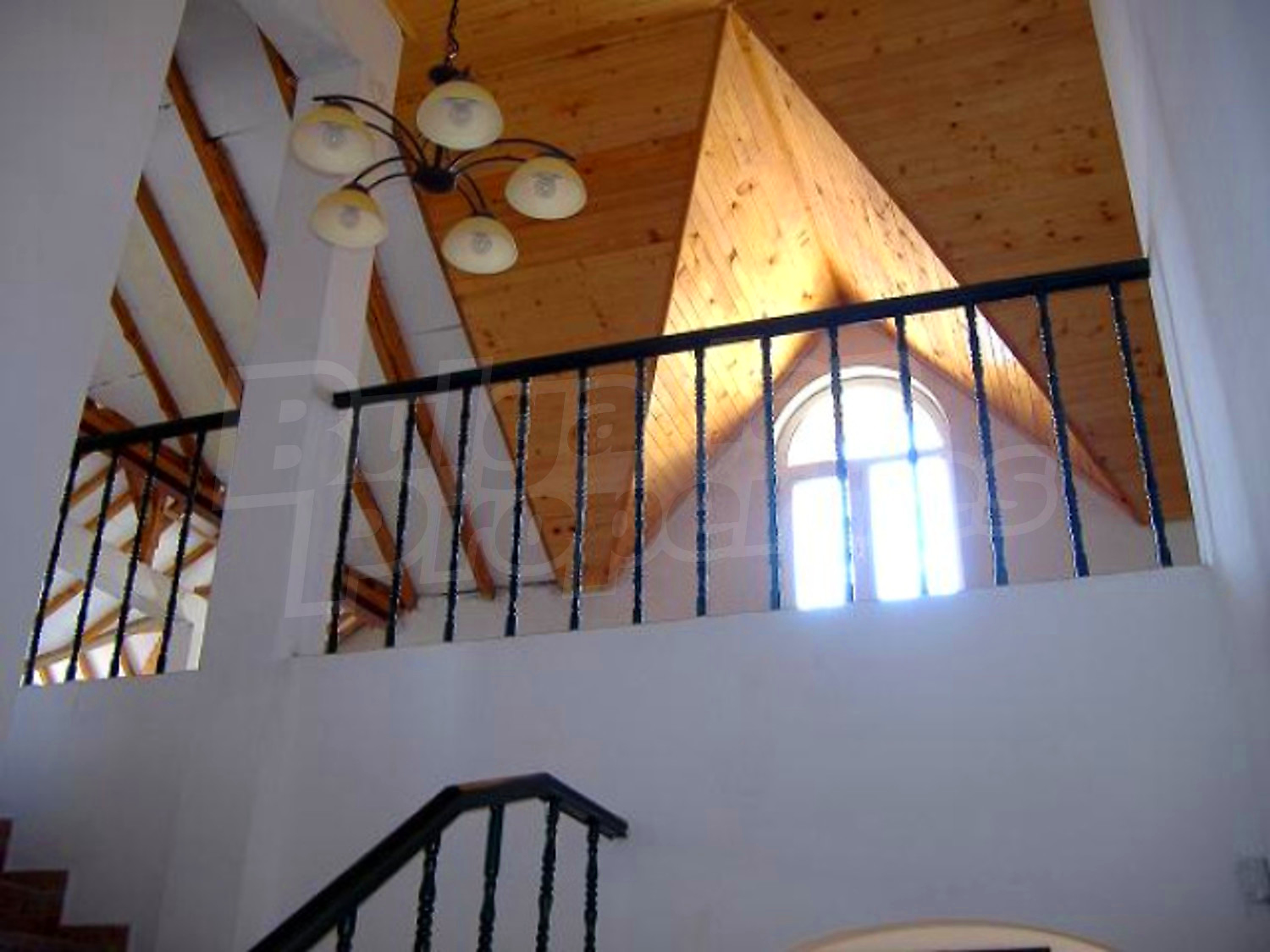 Gallery Picture 16