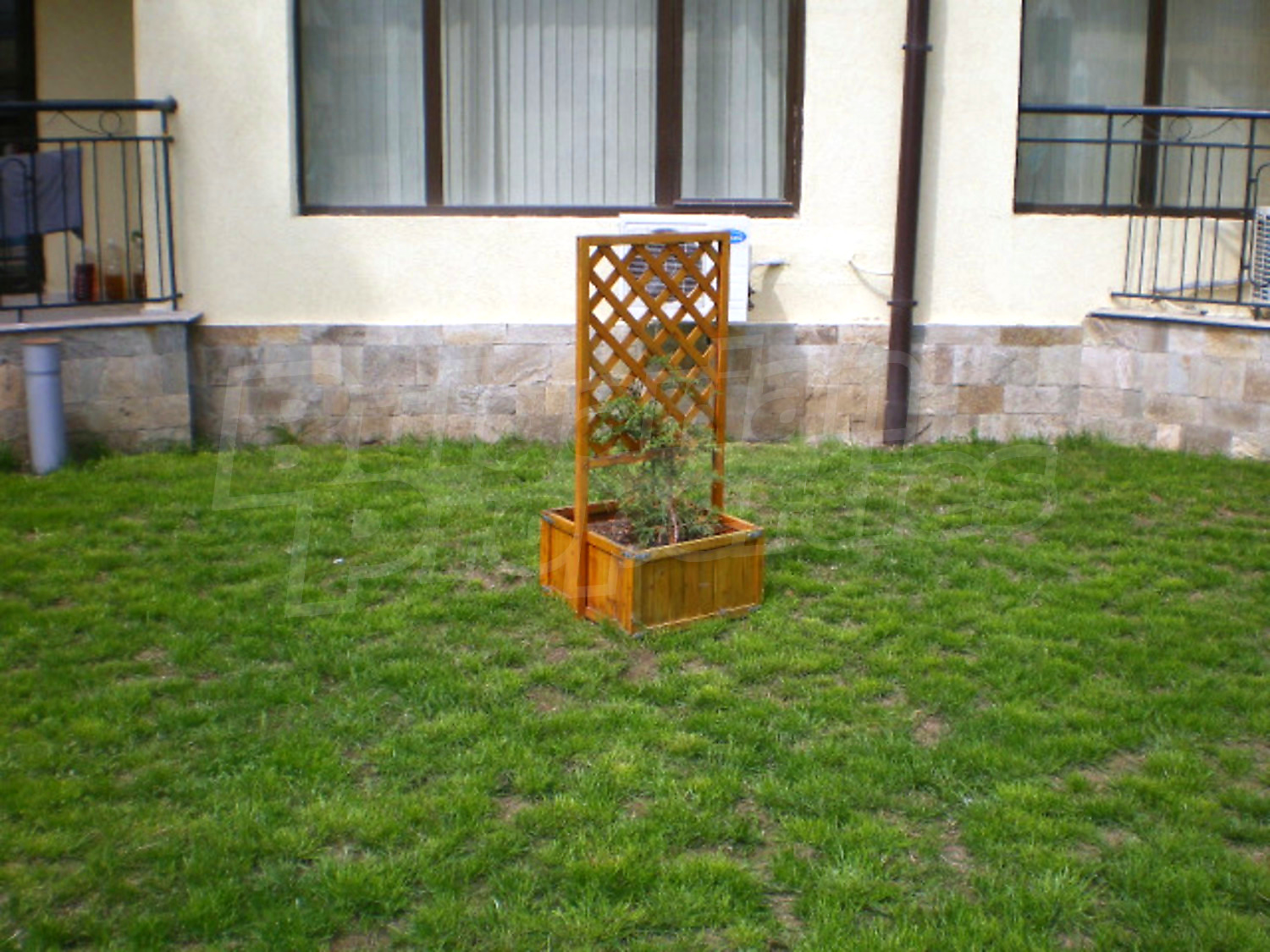 Gallery Picture 12