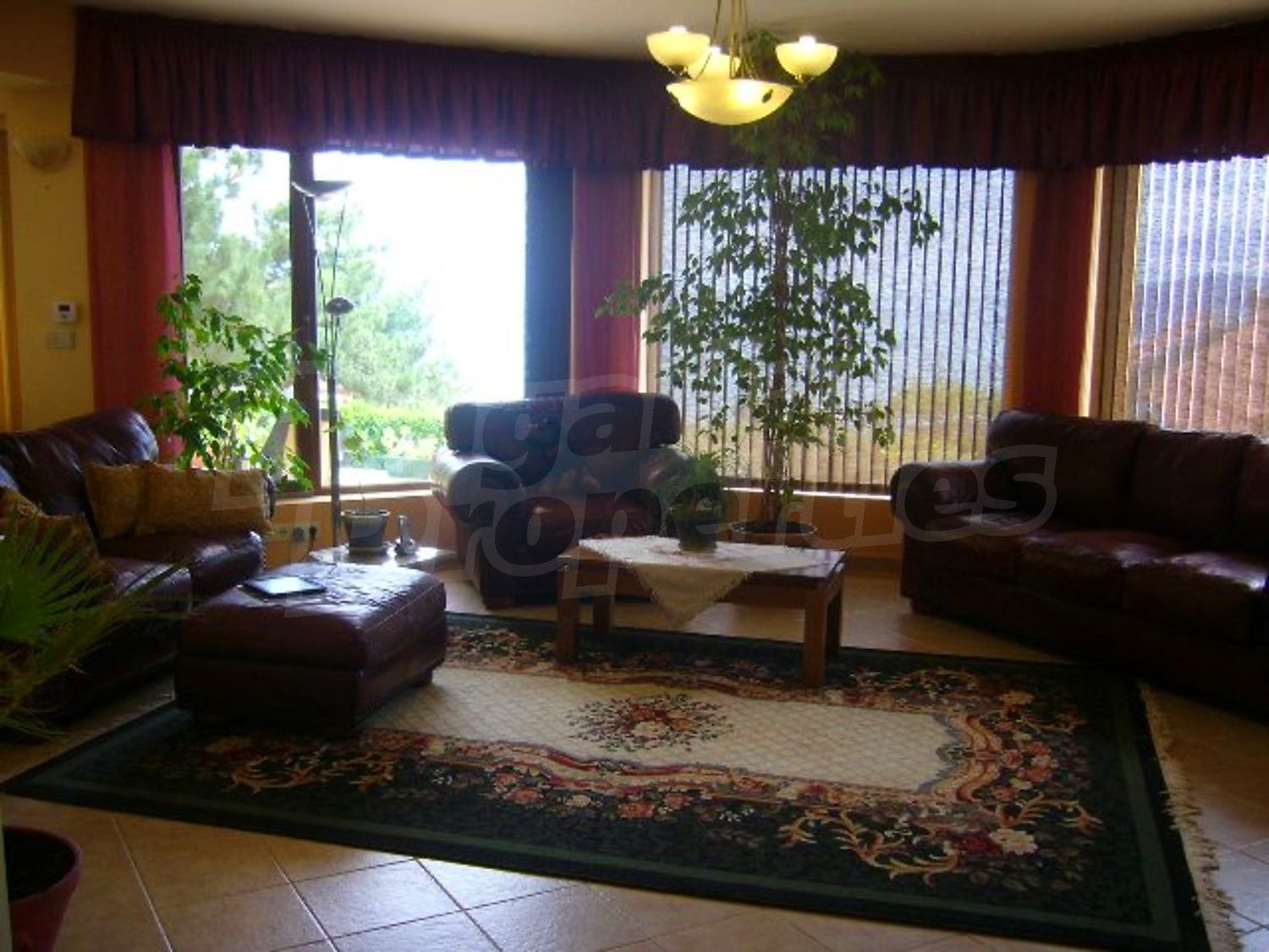 Gallery Picture 12