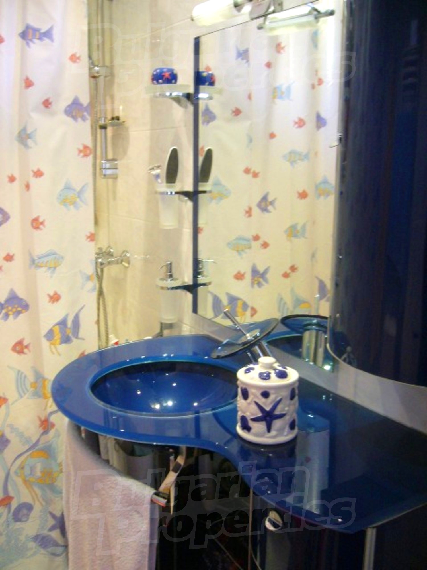 Gallery Picture 14