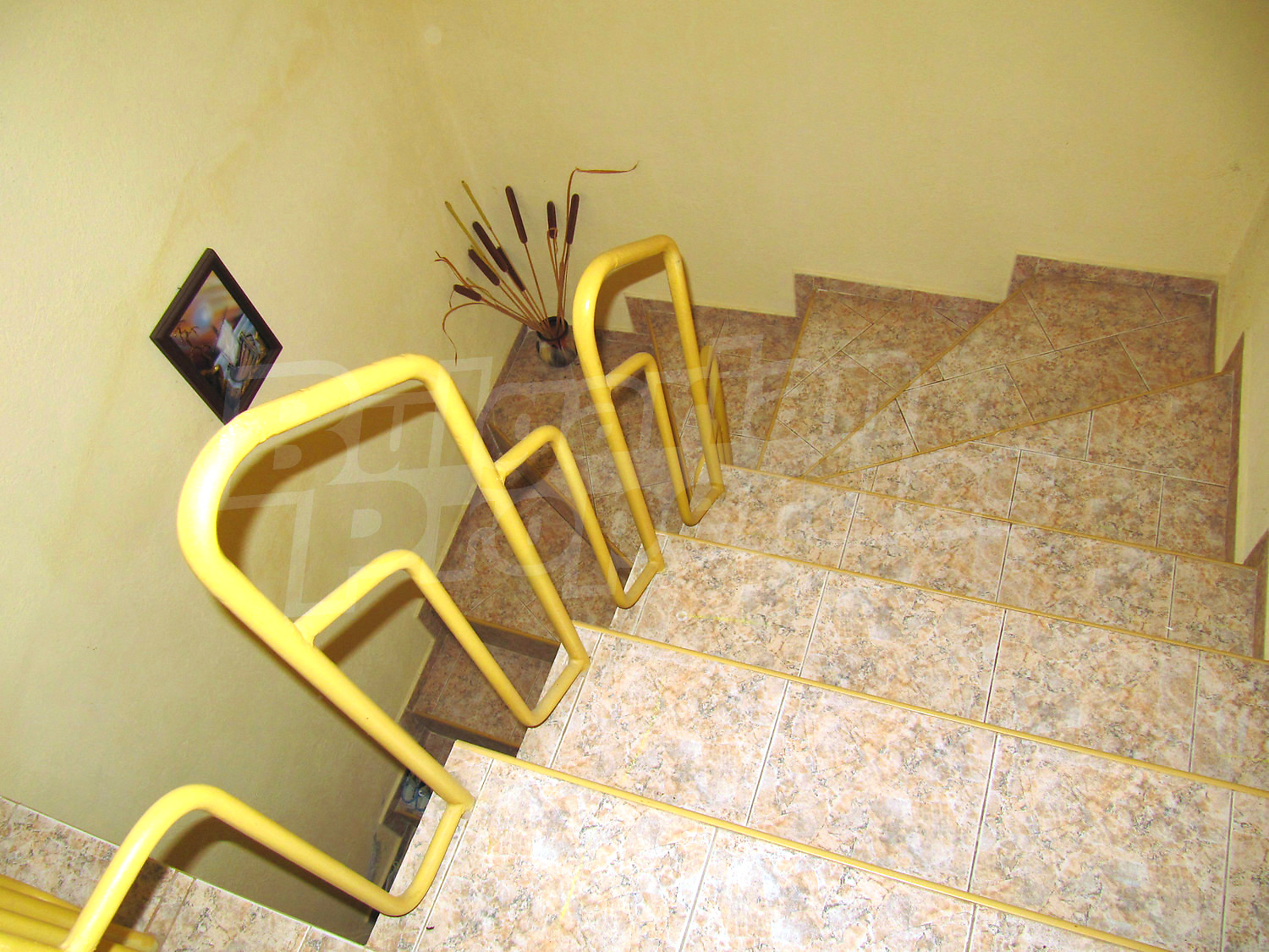 Gallery Picture 10