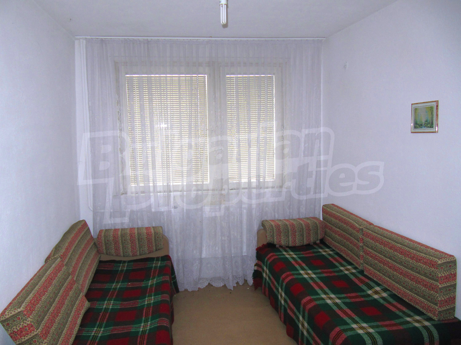 Gallery Picture 12
