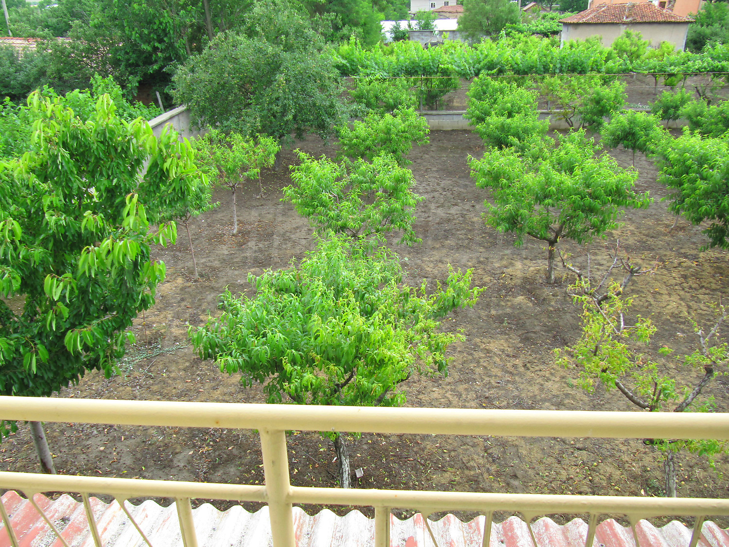 Gallery Picture 15