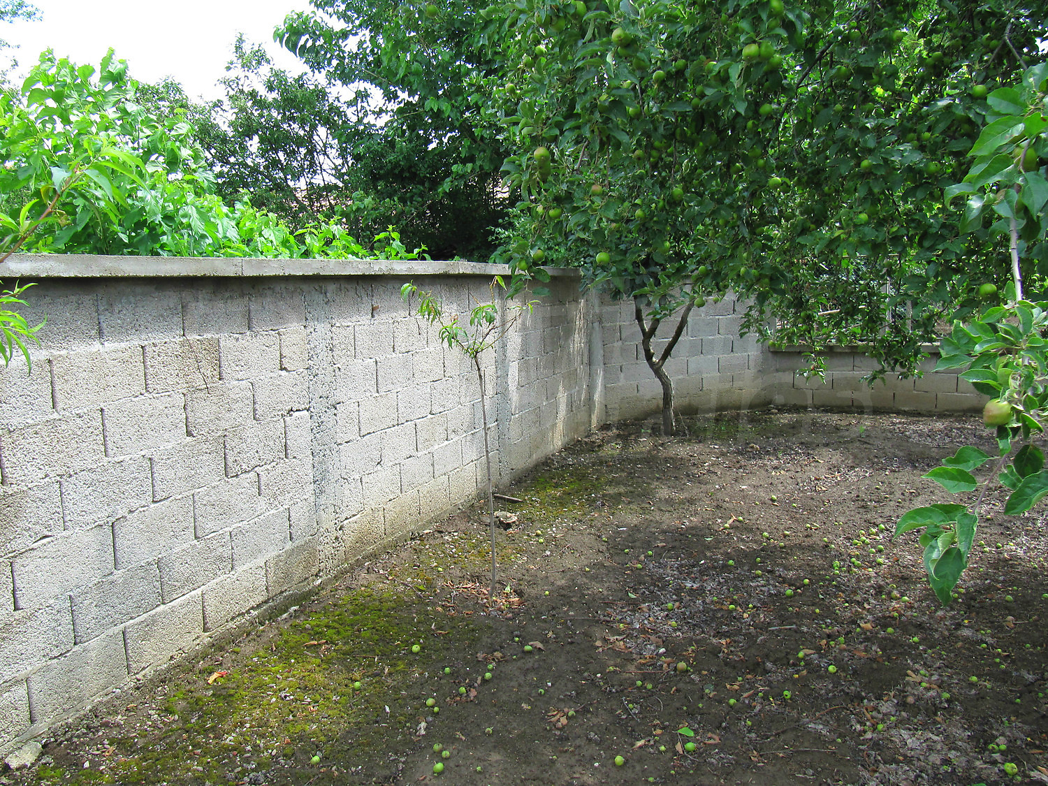 Gallery Picture 25